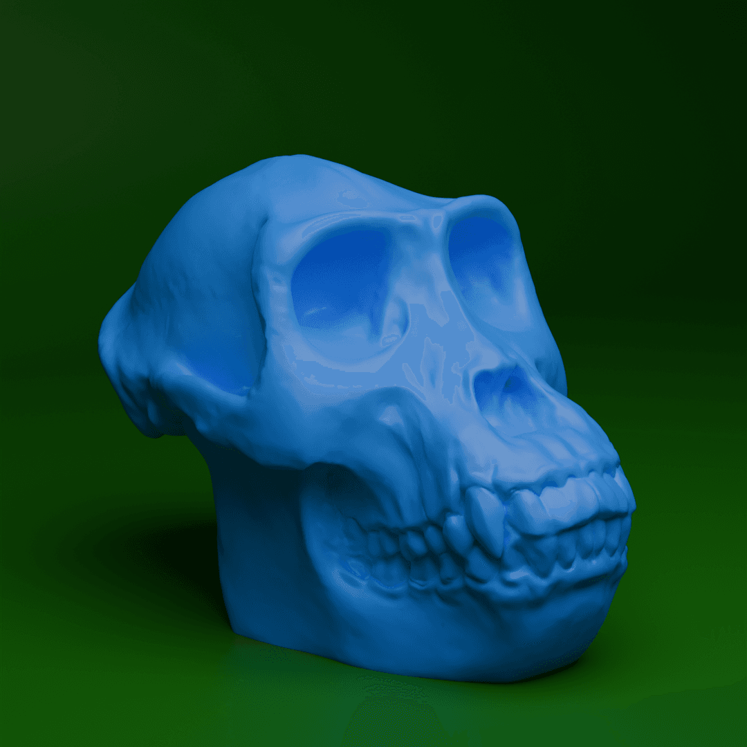 Gorilla Skull (MysticMesh3D) 3d model