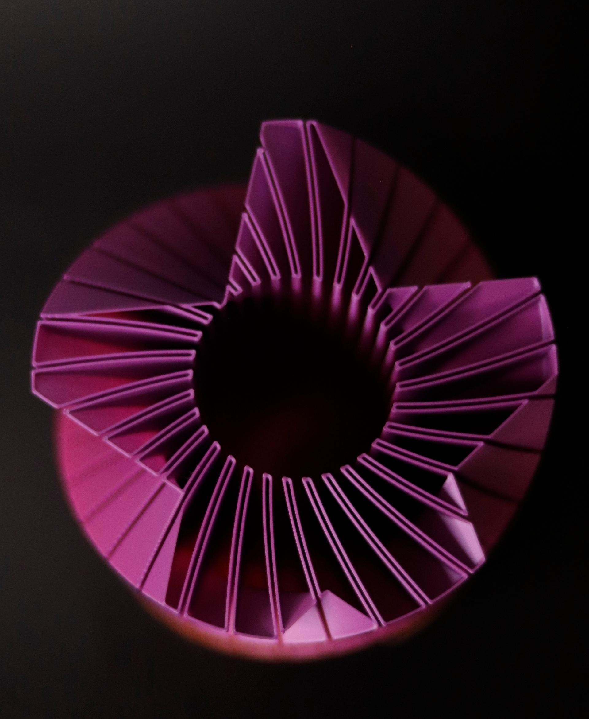 Twisted Star Vase 3d model