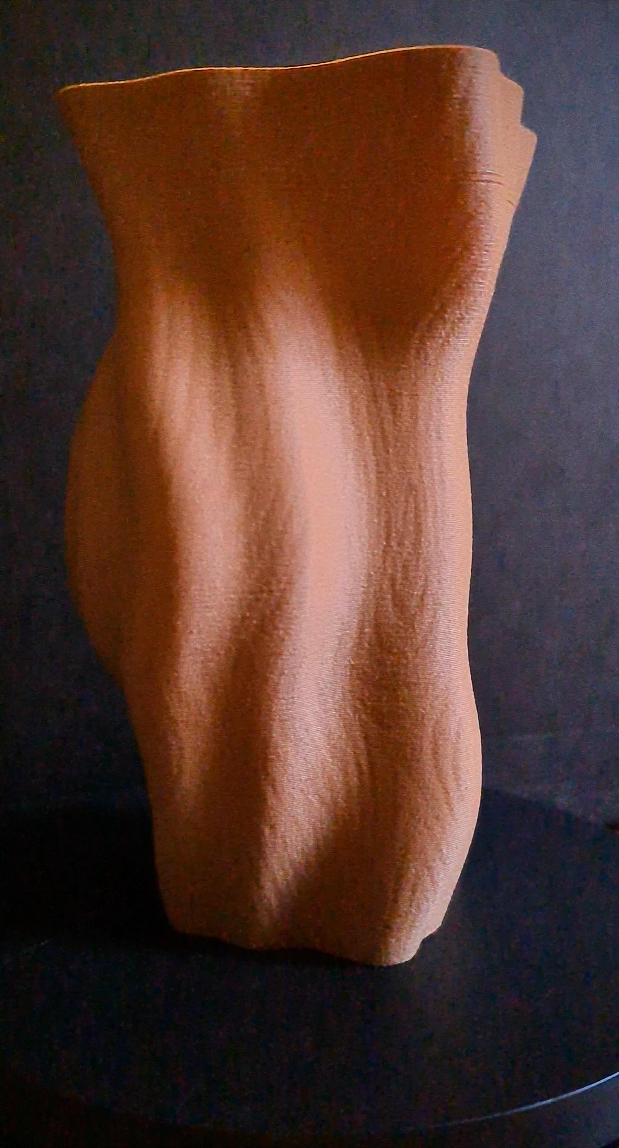 Tree Trunk (Wood Texture) Vase 3d model