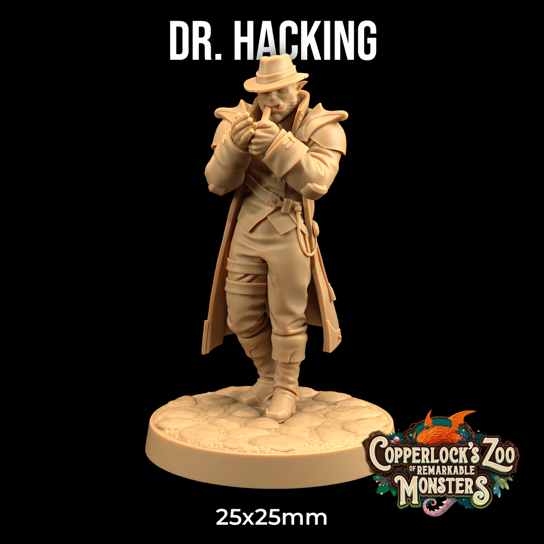 Dr Hacking 3d model