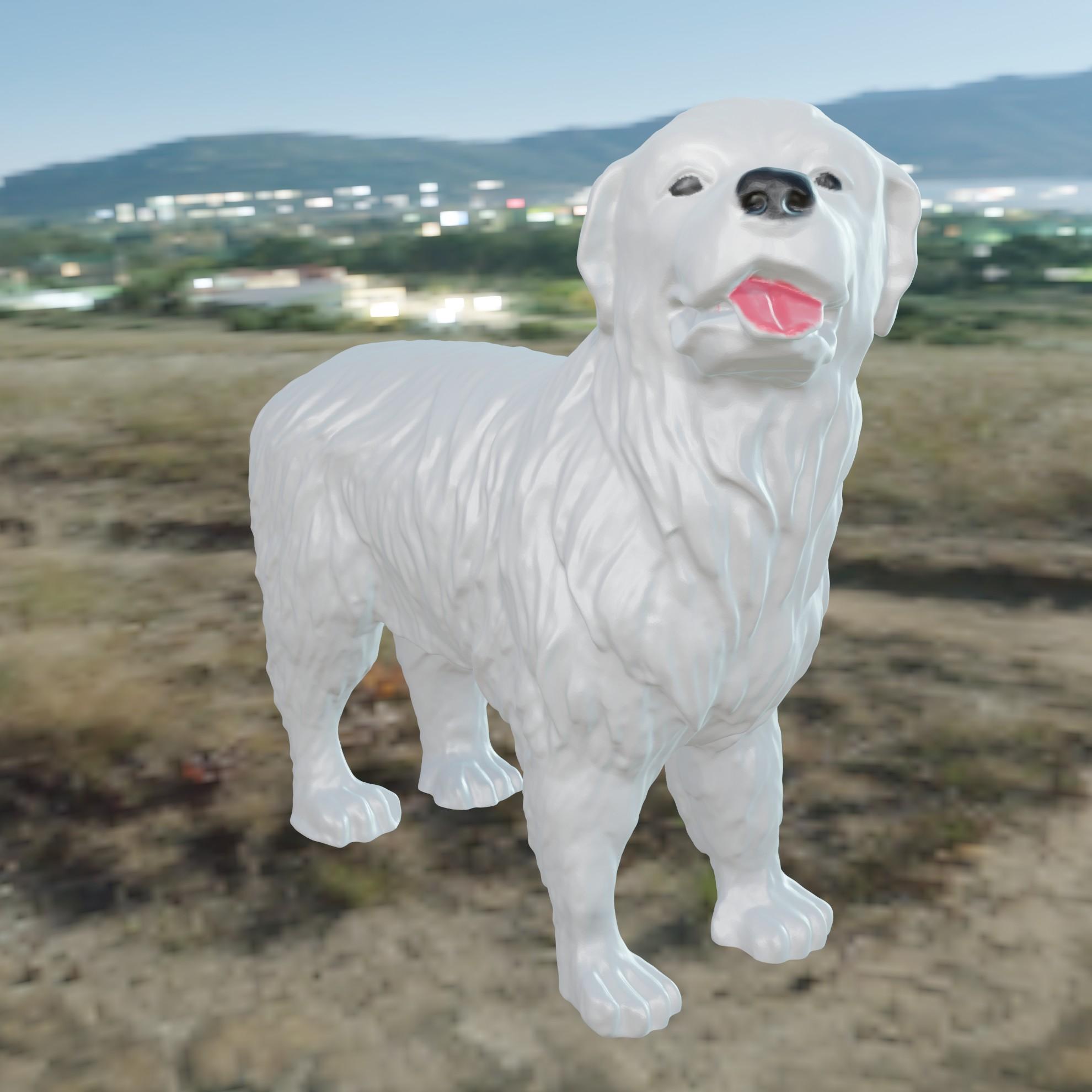 Dog Patou 3d model