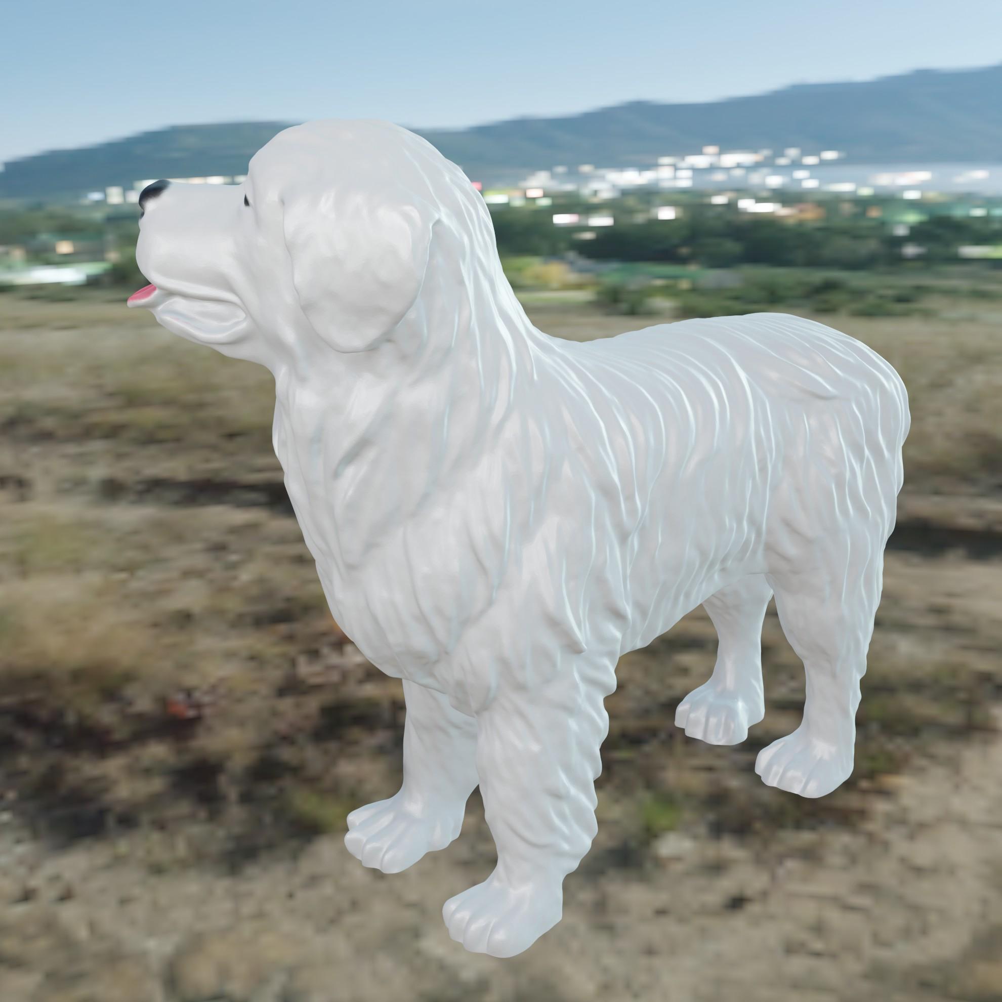 Dog Patou 3d model