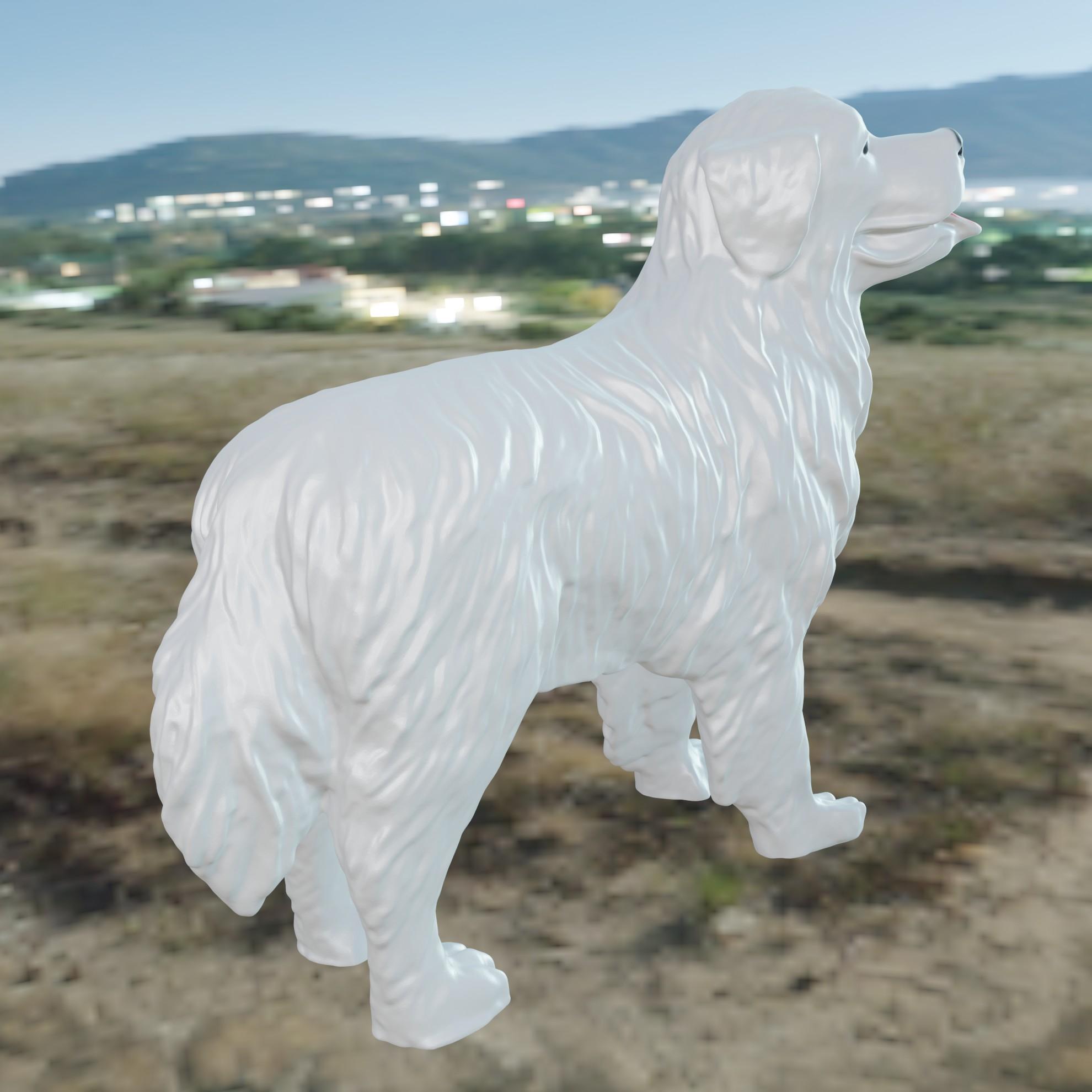 Dog Patou 3d model