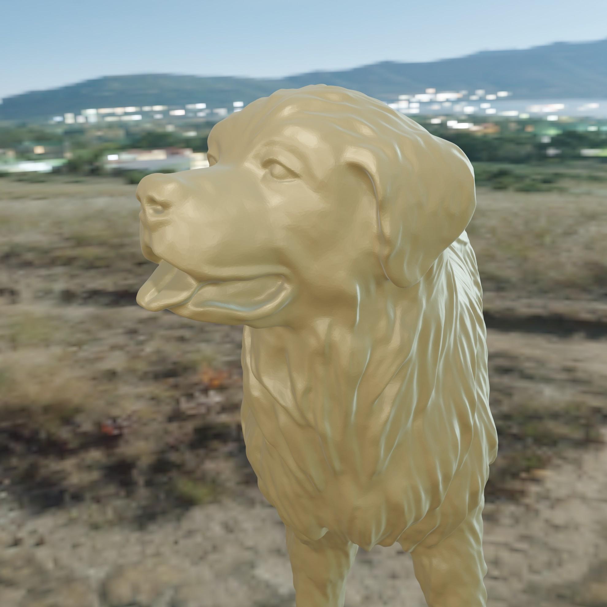 Dog Patou 3d model