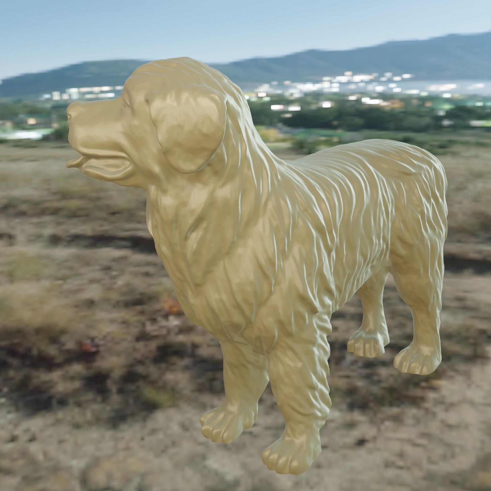 Dog Patou 3d model