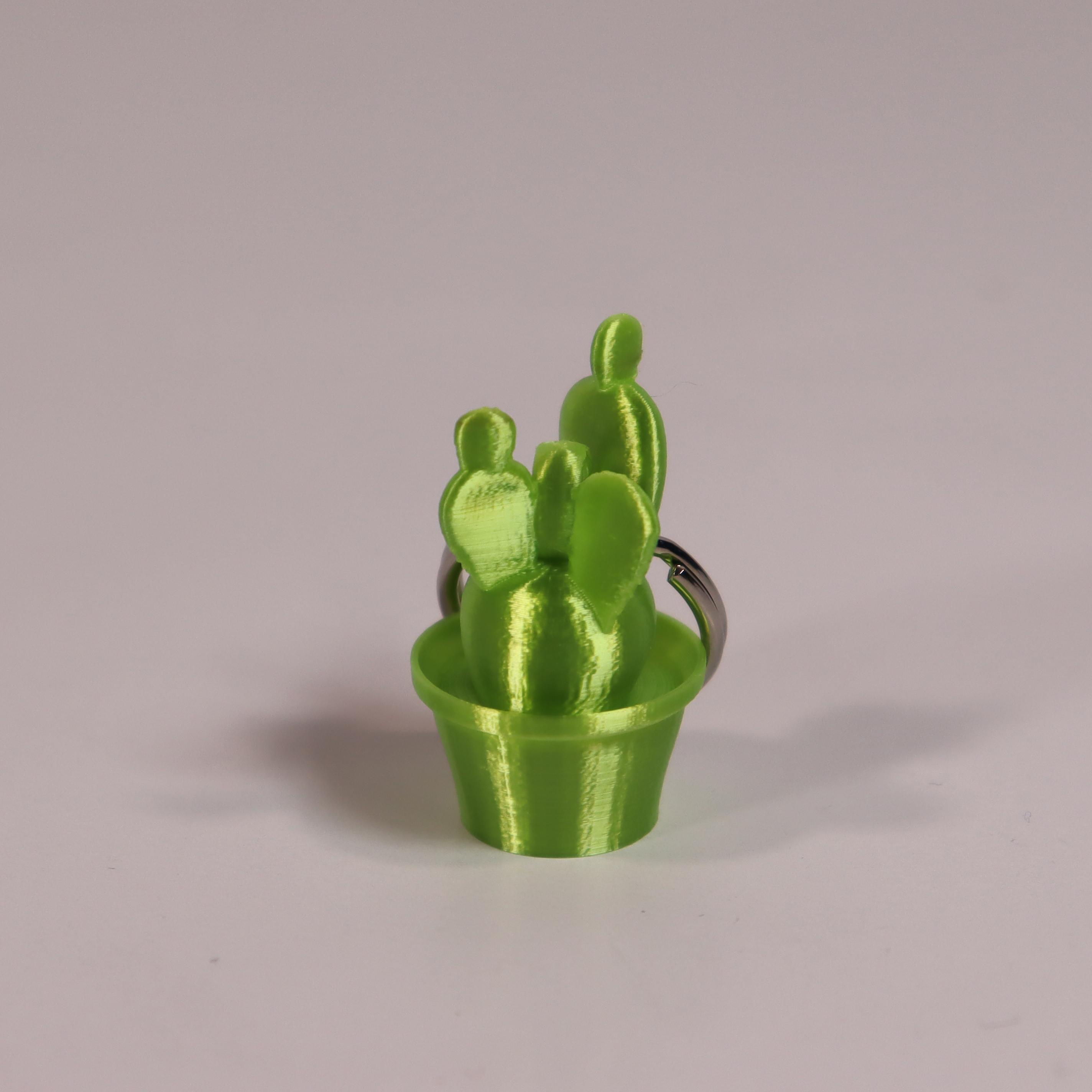 Cactus bunny ears keyring 3d model