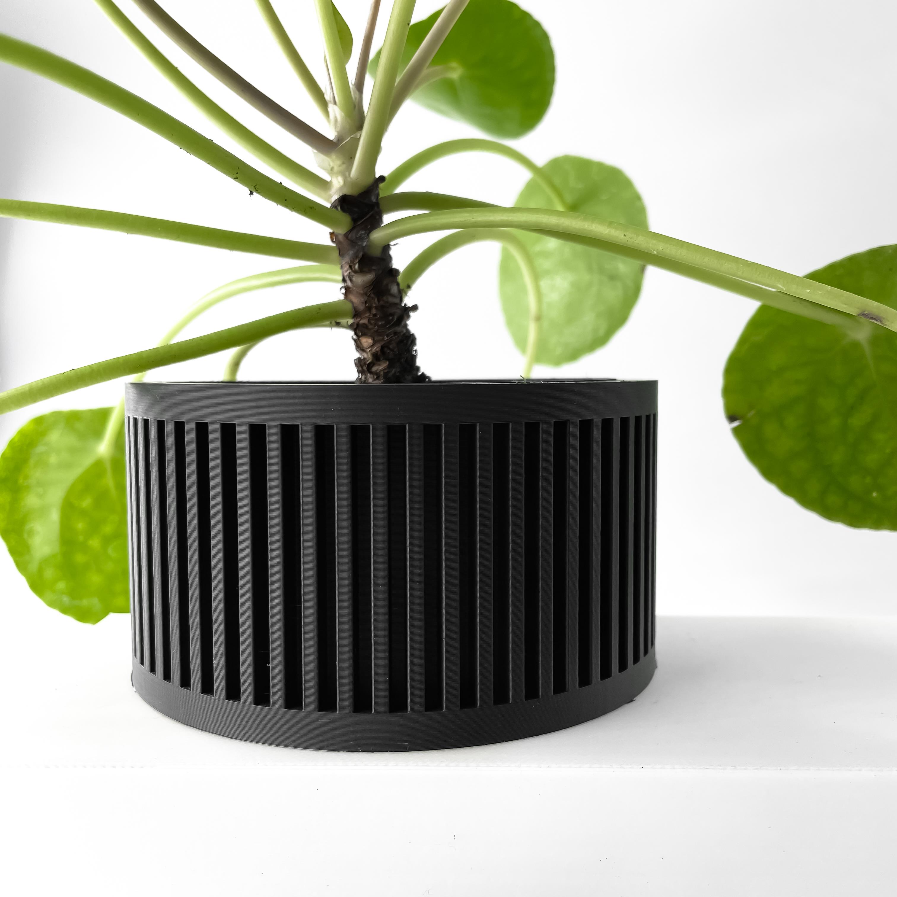 The Paxon Planter Pot with Drainage Tray & Stand Included | Modern and Unique Home Decor 3d model