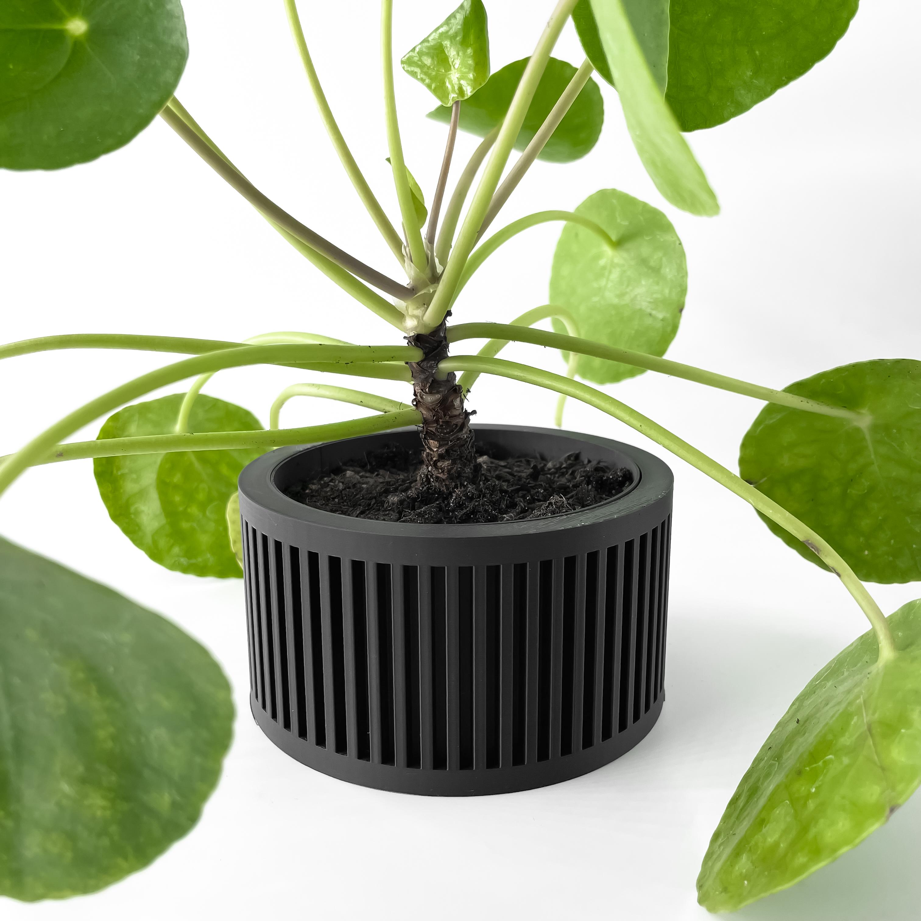 The Paxon Planter Pot with Drainage Tray & Stand Included | Modern and Unique Home Decor 3d model