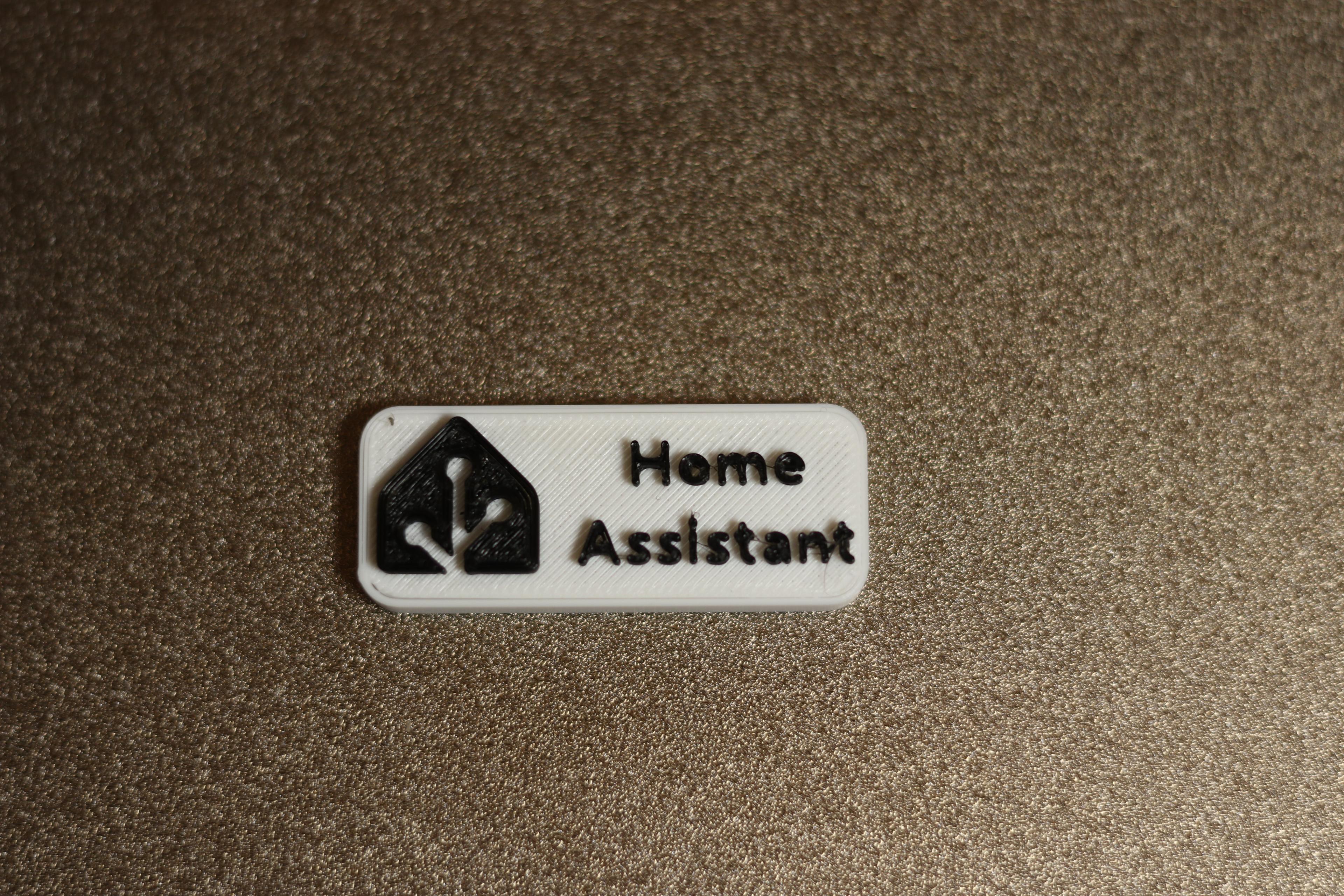 Home Assistant Badge Plate v2.stl 3d model