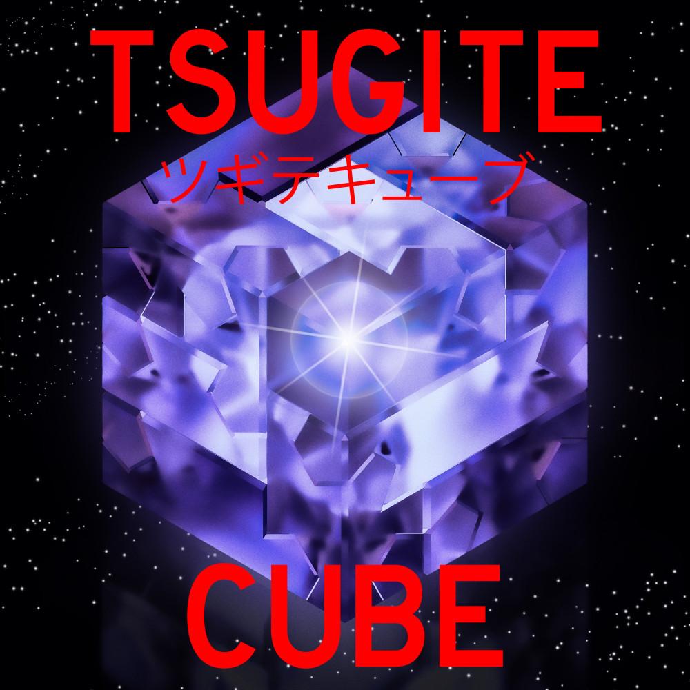 Tsugite Cube 3x3 Puzzle (Version A) 3d model