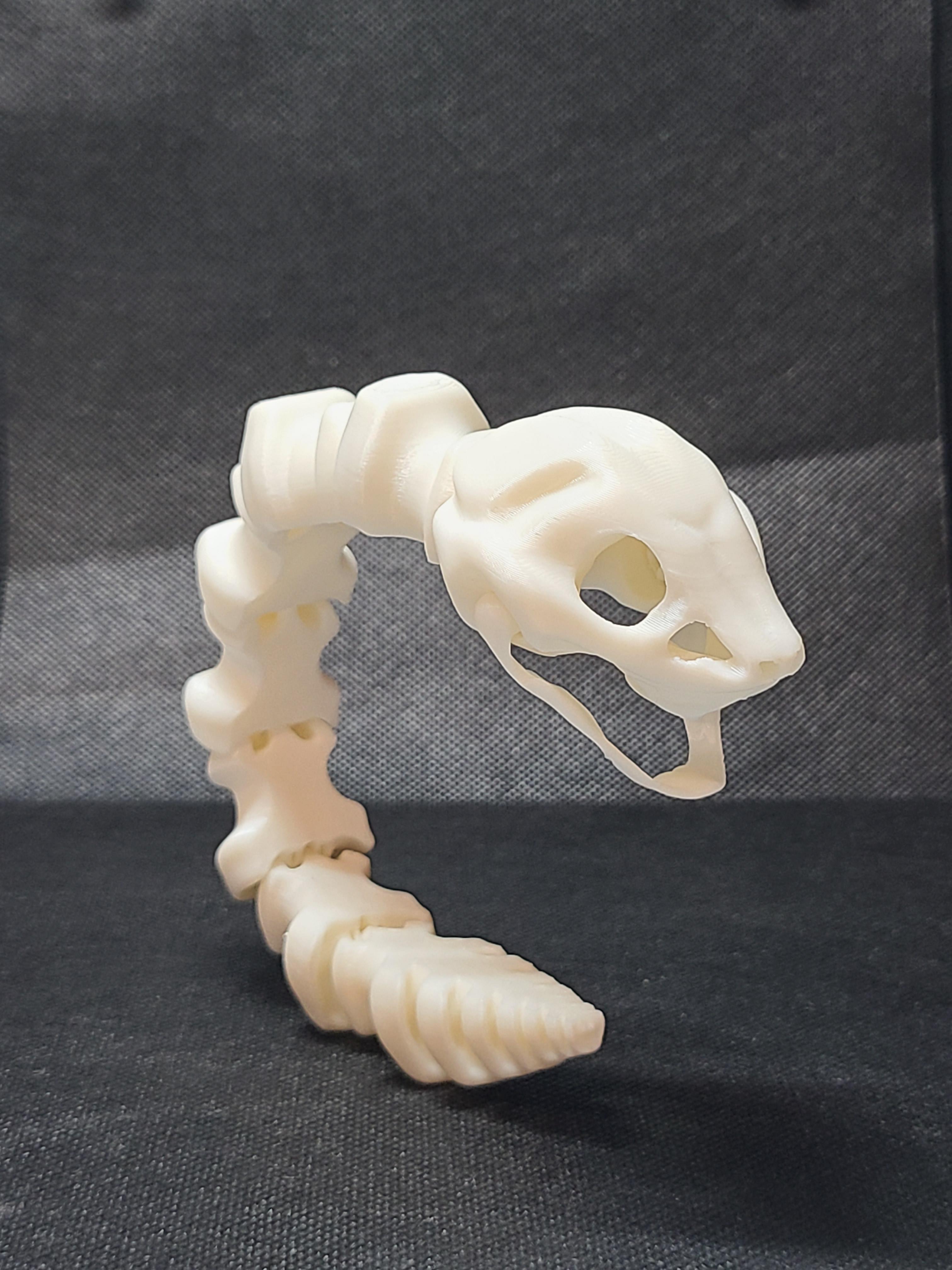  Sleek-Eyed Bone Snake (Medium Tightness) - Articulated Snap-Flex Fidget 3d model