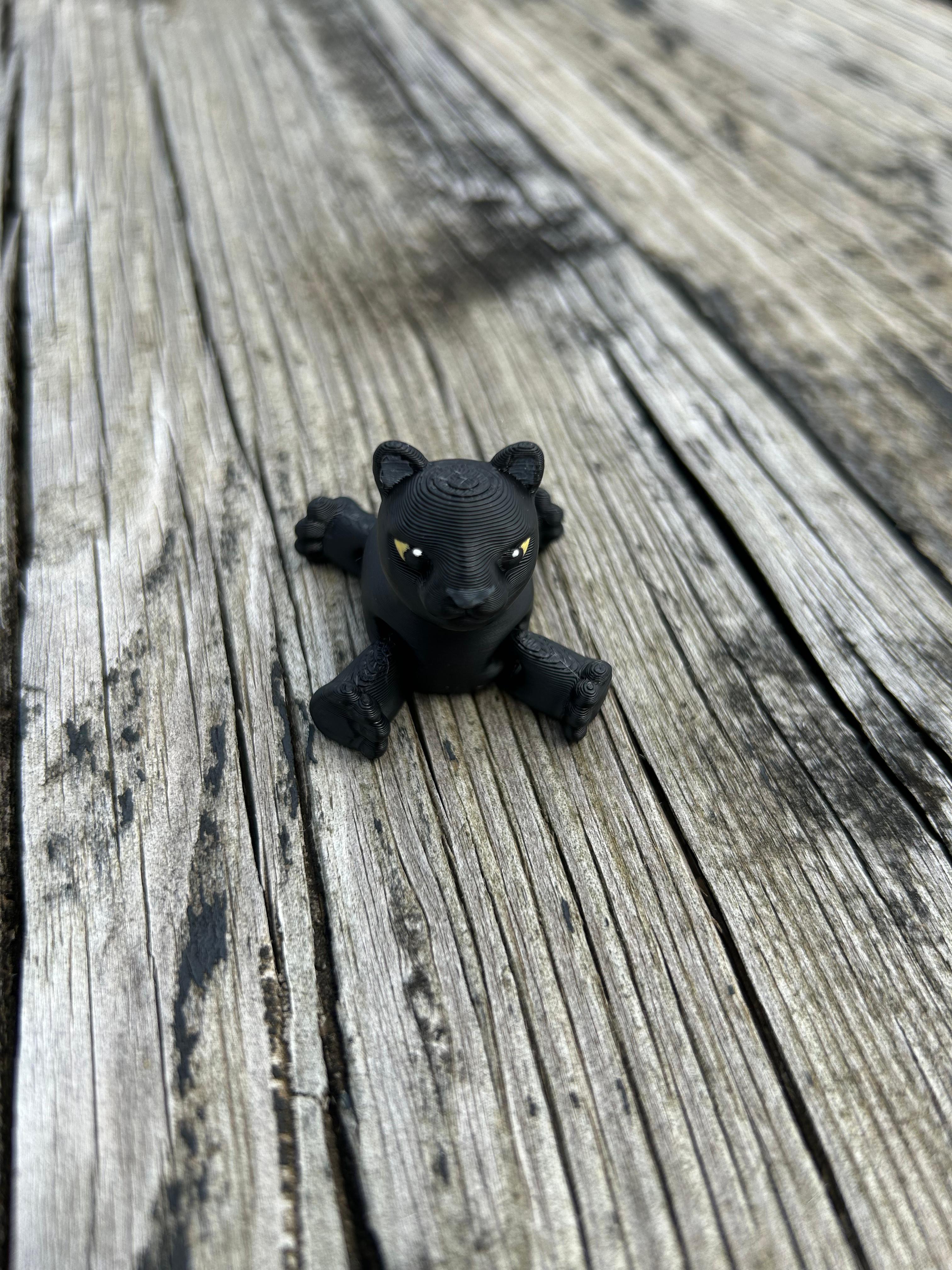 Panther Fidget 3d model