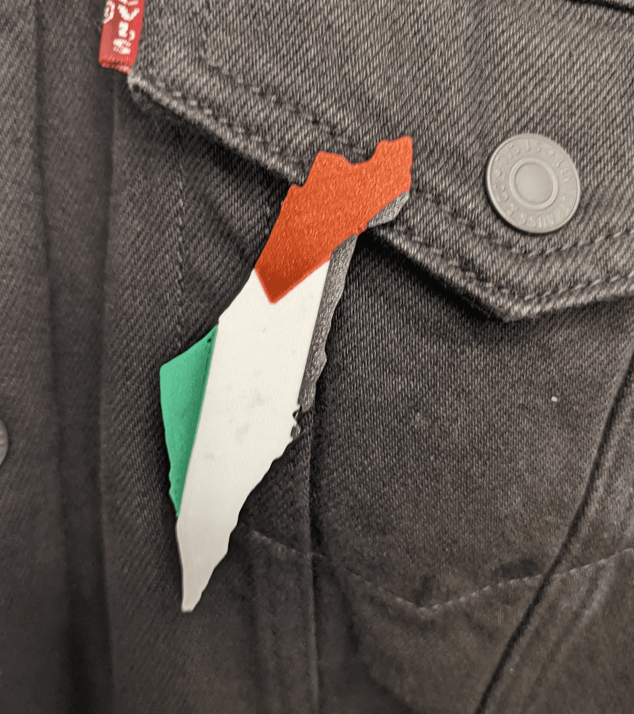 Palestinian Map Flag Pin 3d model