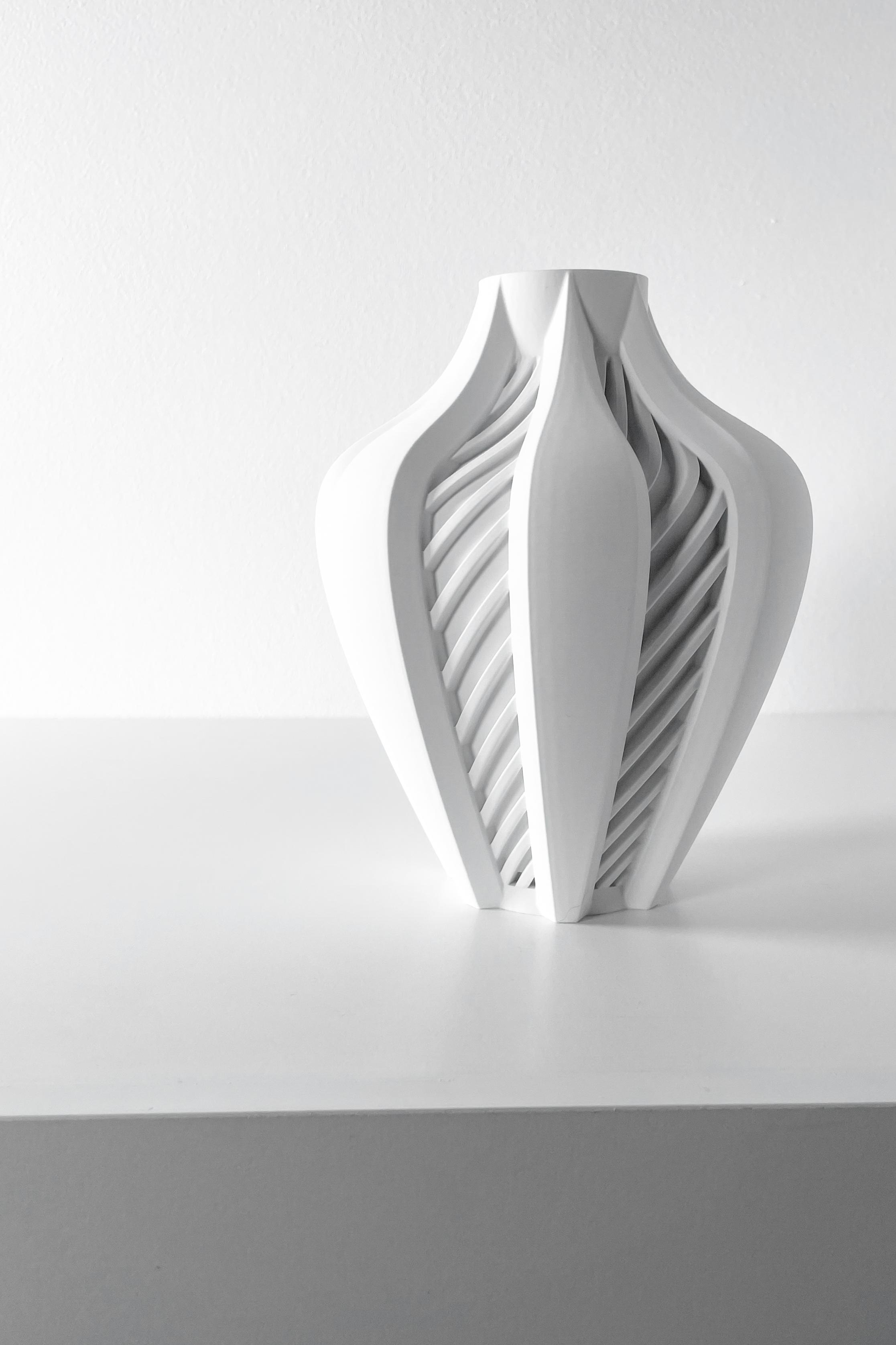 The Elvox Vase, Modern and Unique Home Decor for Dried and Flower Arrangements  | STL File 3d model