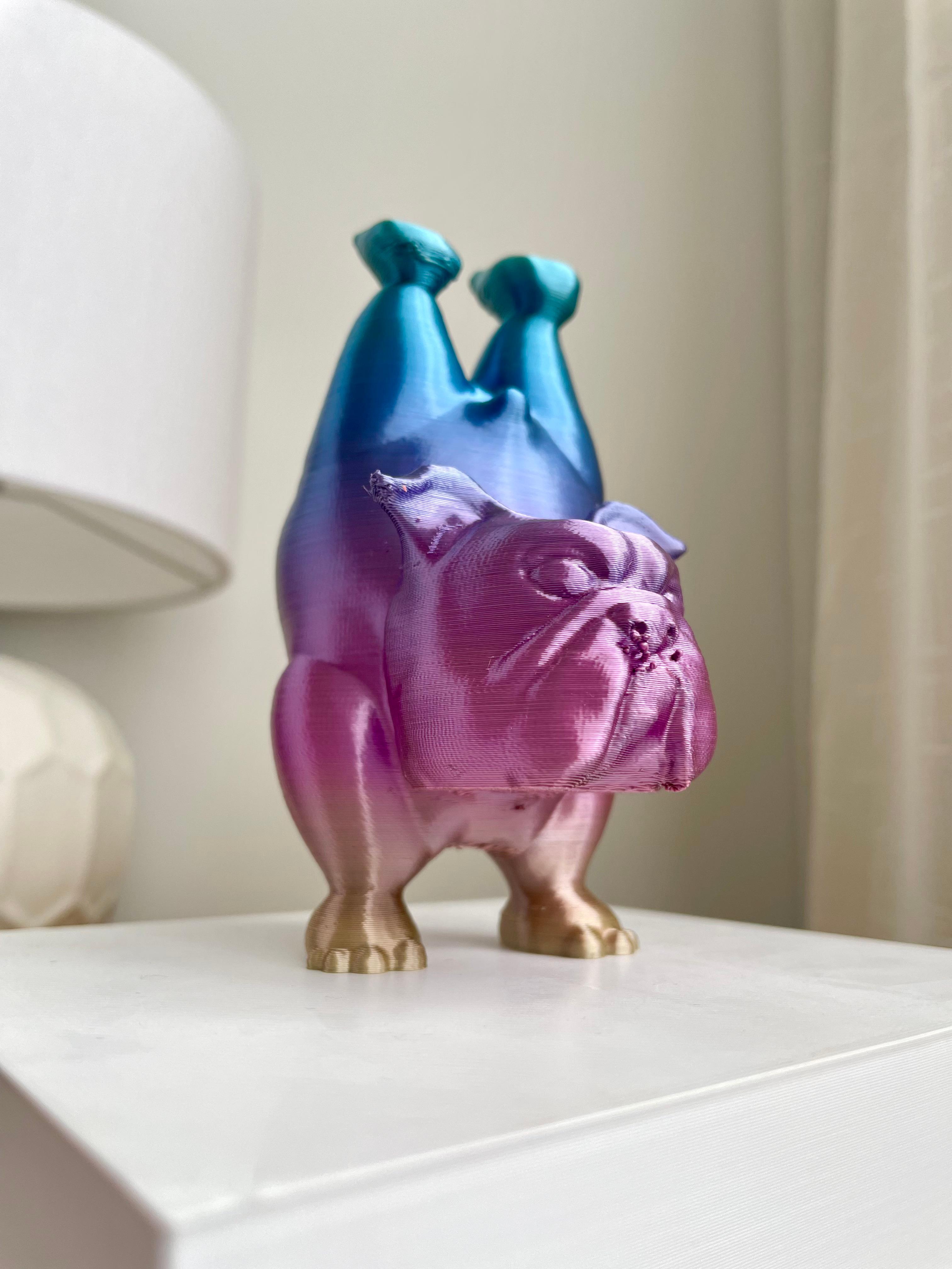 English Bulldog Dog Yoga Pose 1 3d model