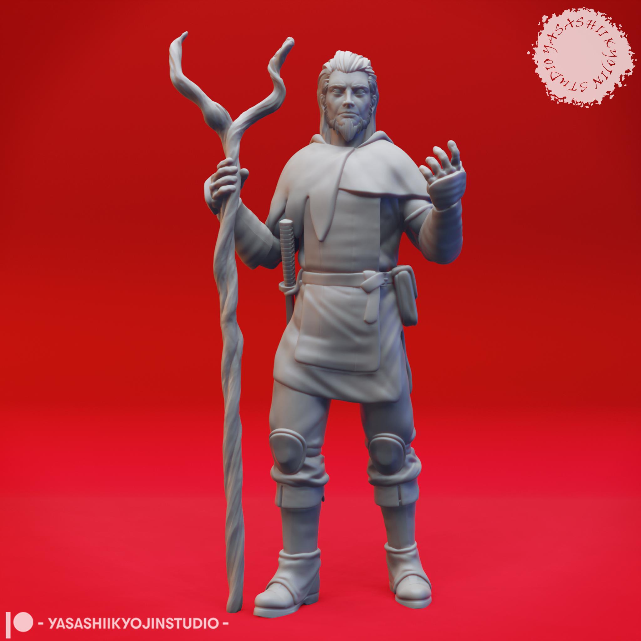 Druids - Level Up - Tabletop Miniatures (Pre-Supported) 3d model
