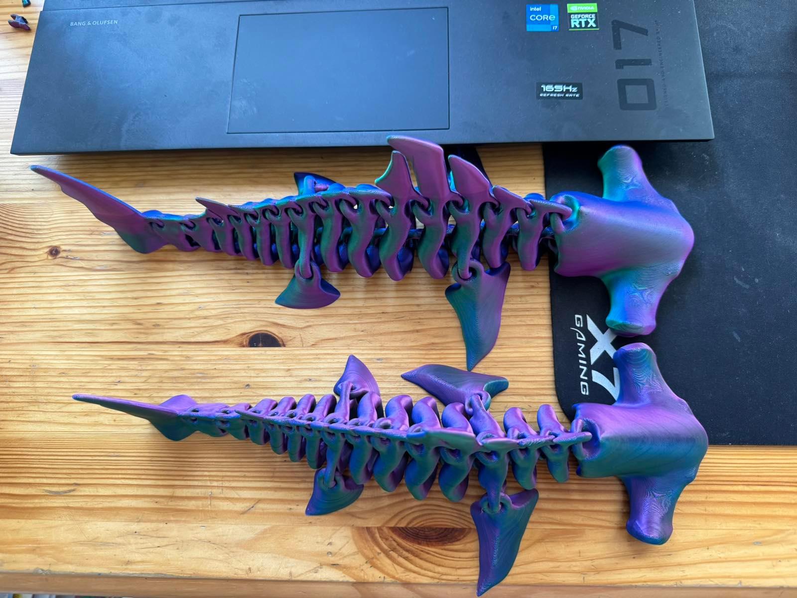 Hammerhead  Shark  Bones - Hello. Super shark. Thank you so much. I bought one shark on the Internet and it is a little larger. Do you have a model of a larger shark? - 3d model