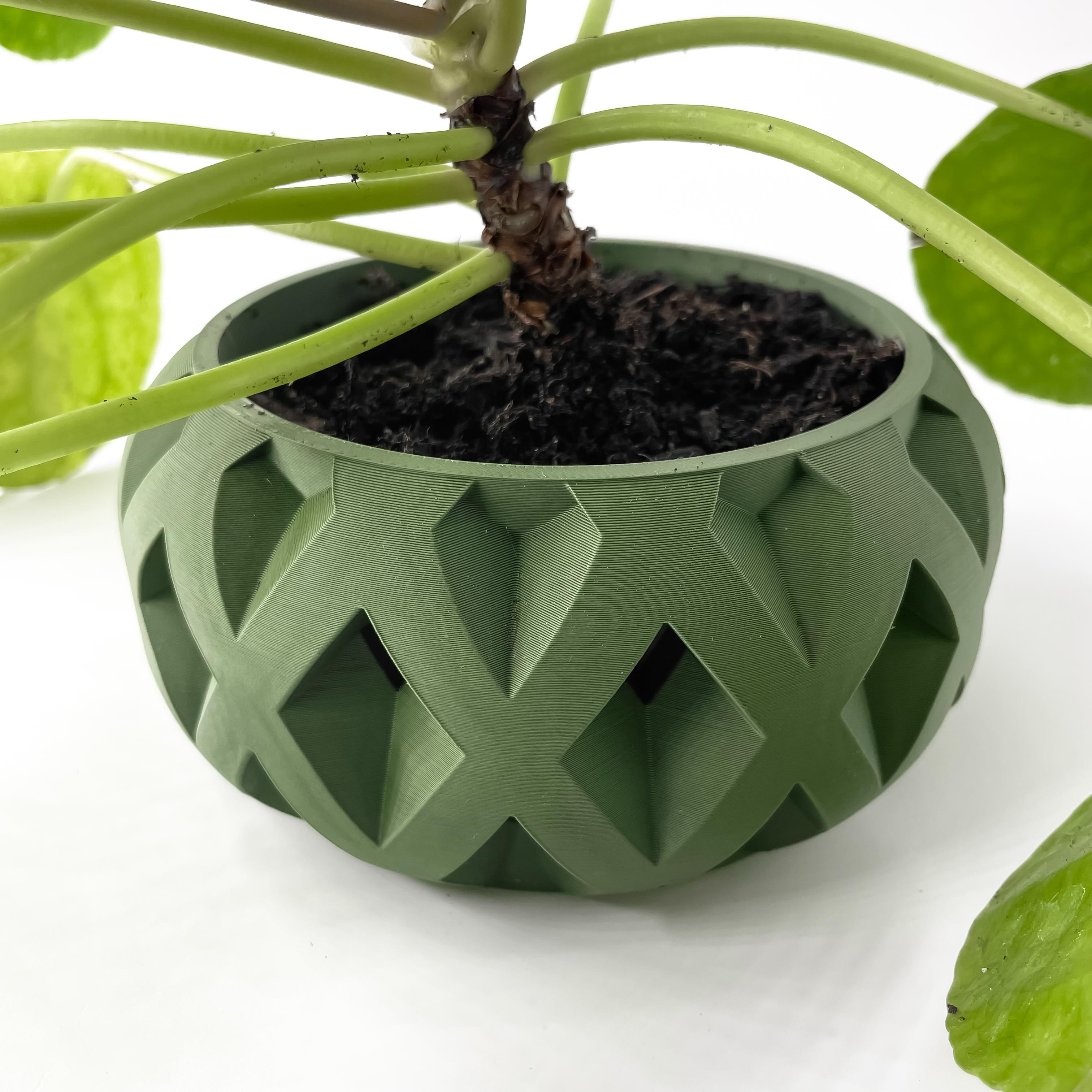 The Welen Planter Pot with Drainage Tray & Stand Included | Modern and Unique Home Decor 3d model
