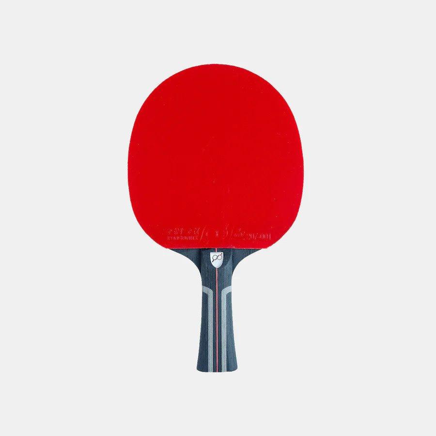 Ping Pong Paddle (Inspired by $130 paddle!) 3d model