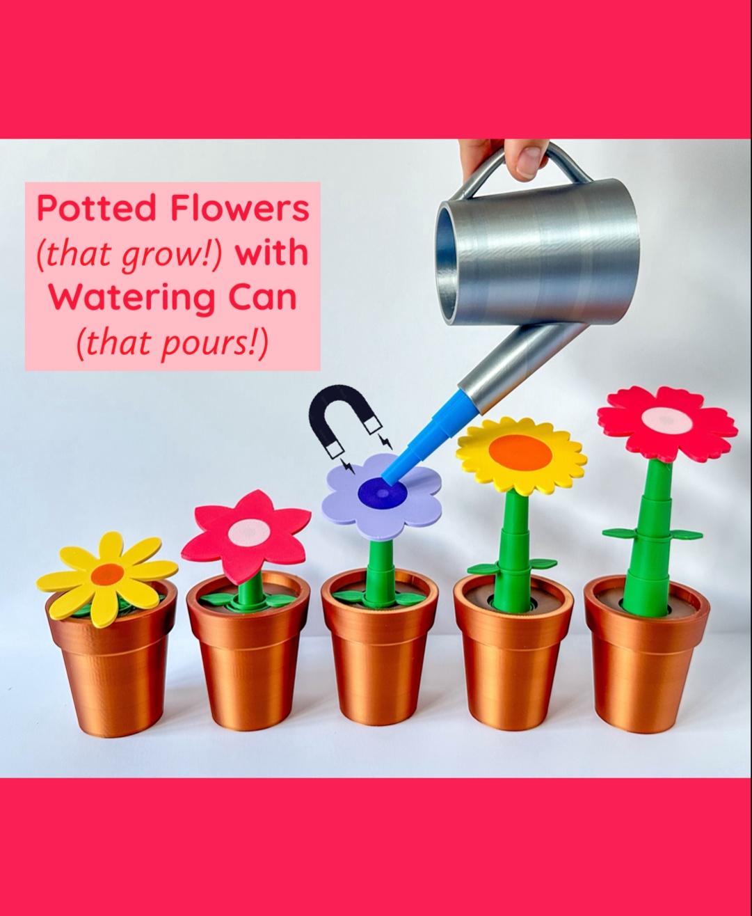 Potted Flowers and Watering Can 3d model