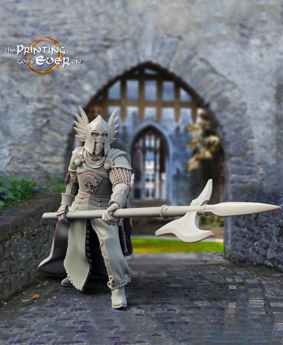 King's Guards - 3 Poses 3d model
