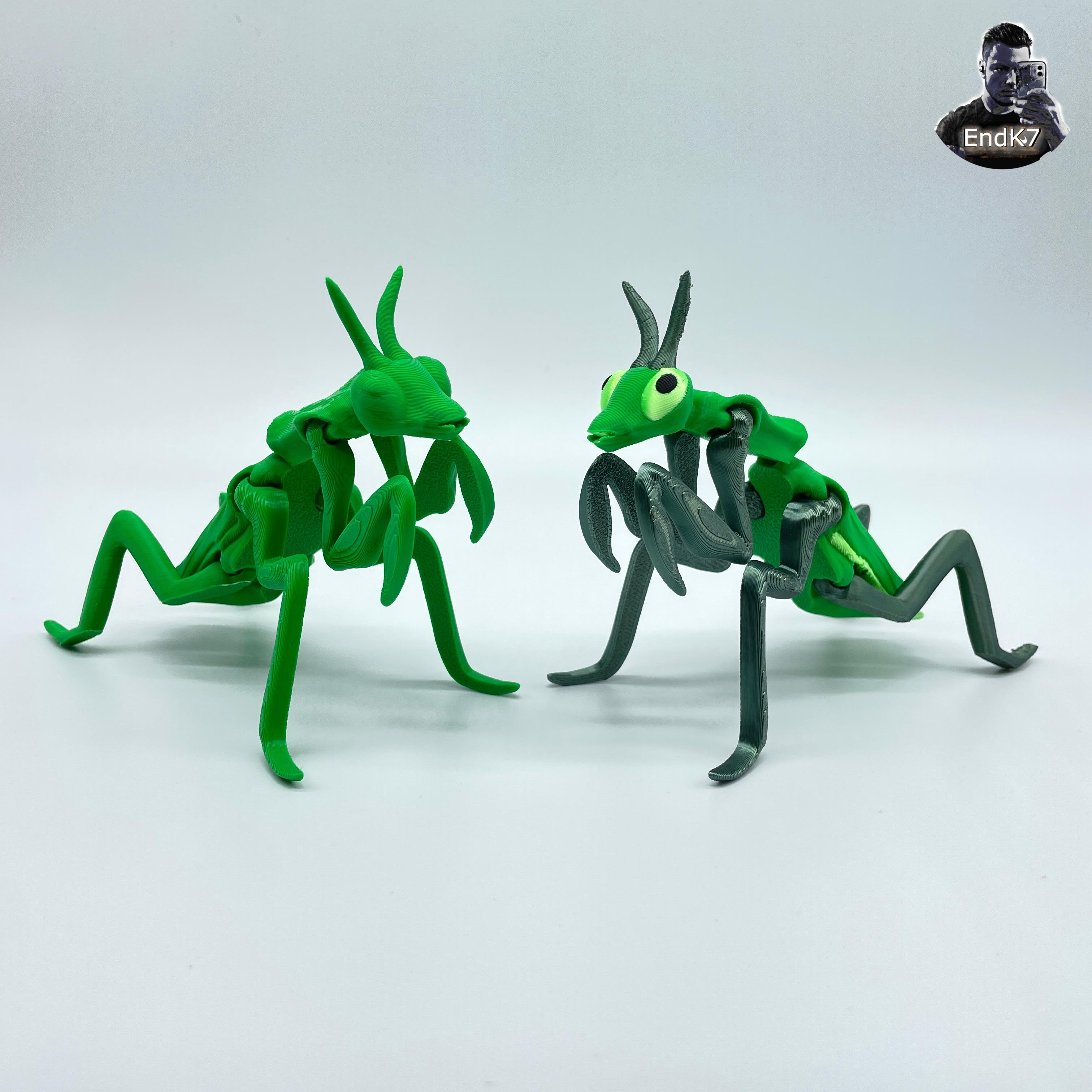 Articulated Mantis - Print in Place - Flexible - No Supports 3d model