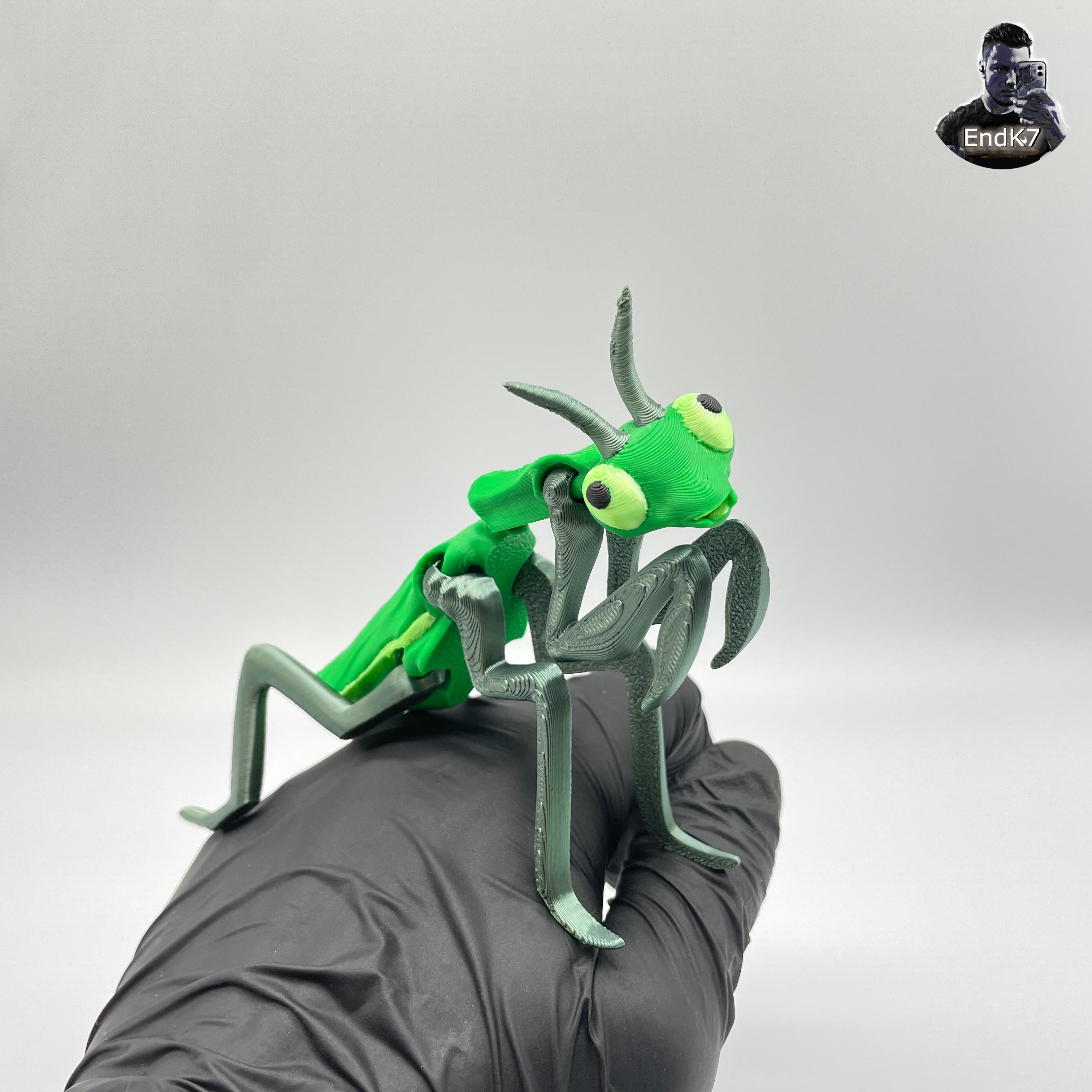 Articulated Mantis - Print in Place - Flexible - No Supports 3d model