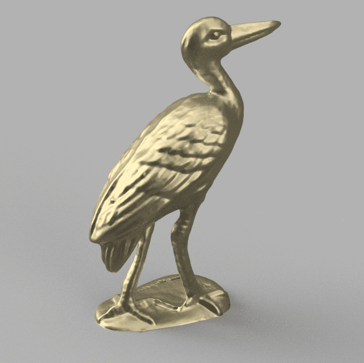 bird 3d model