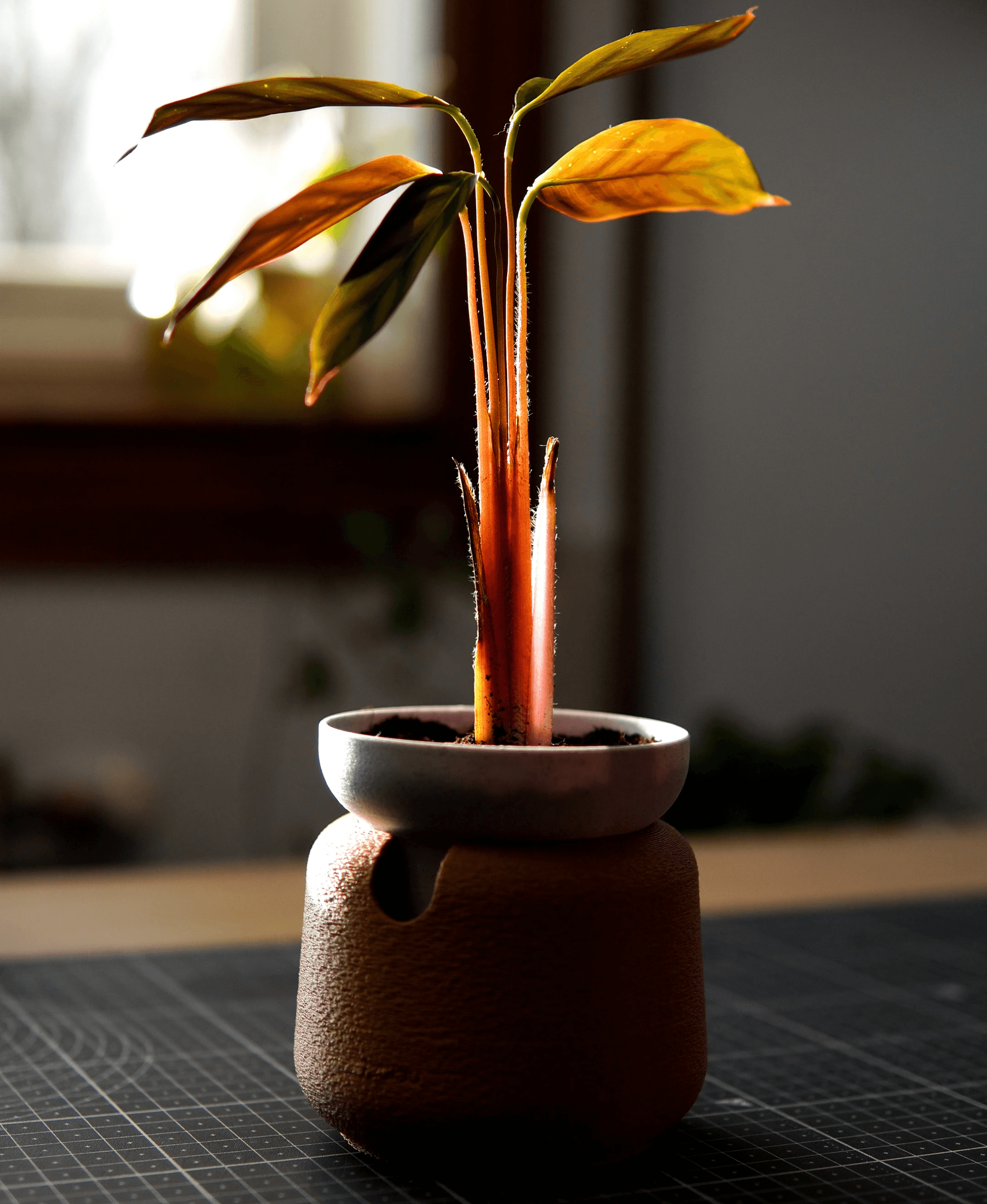 laulau · Self-watering pot (small size) 3d model