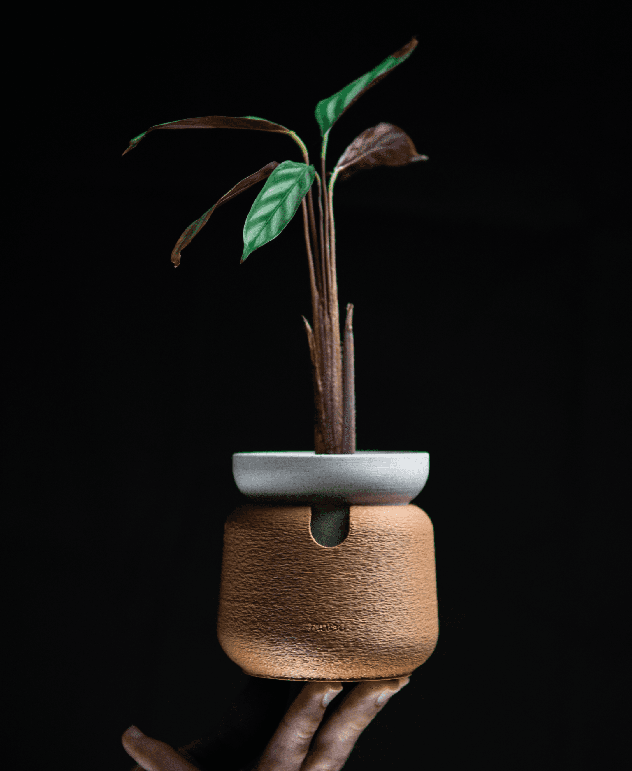 laulau · Self-watering pot (small size) 3d model