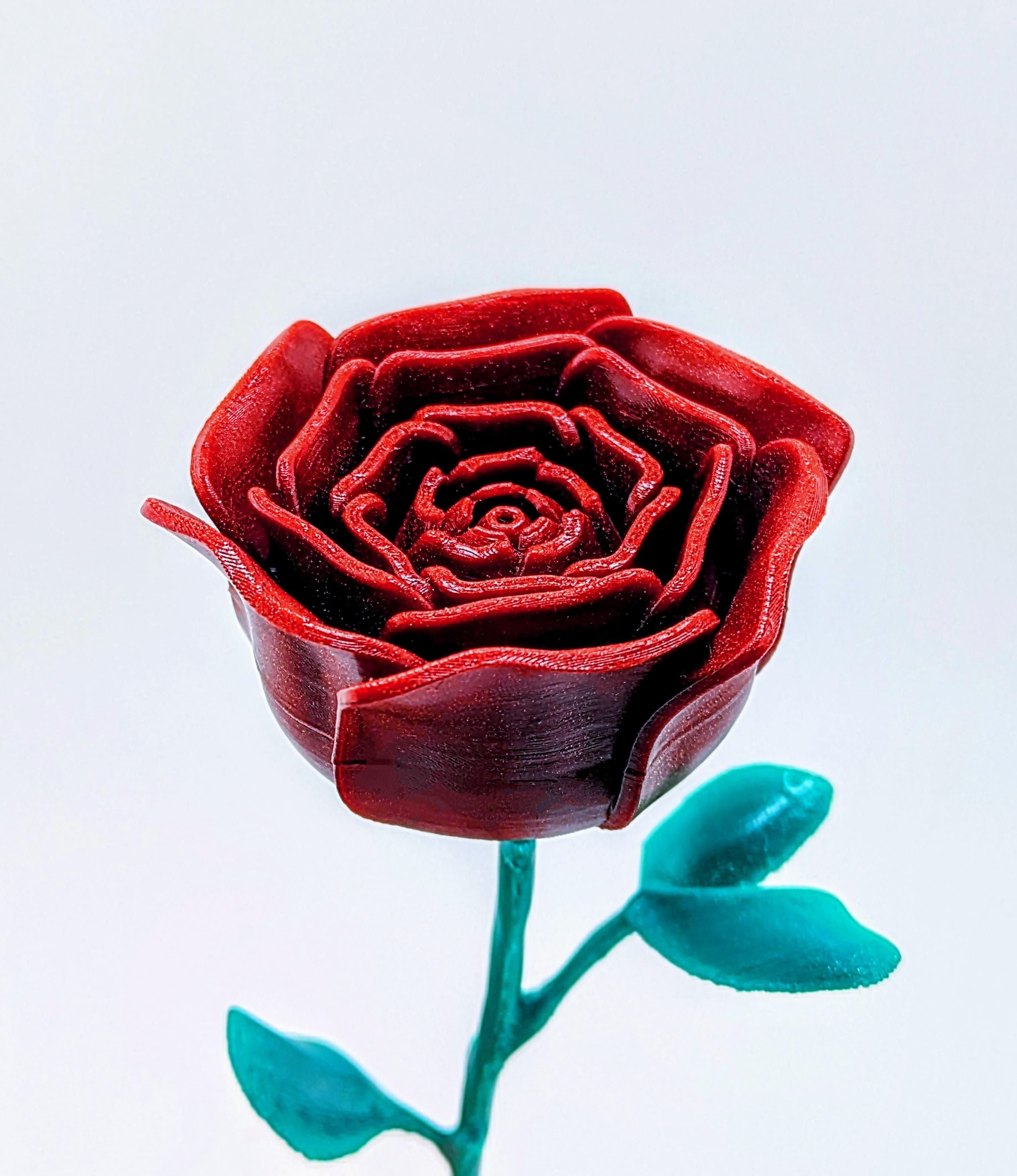 Rose (2023)   3d model