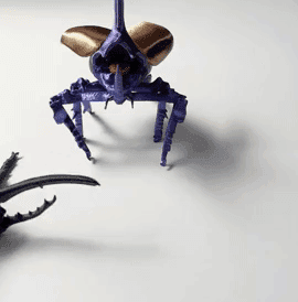 Hercules Beetle 3d model