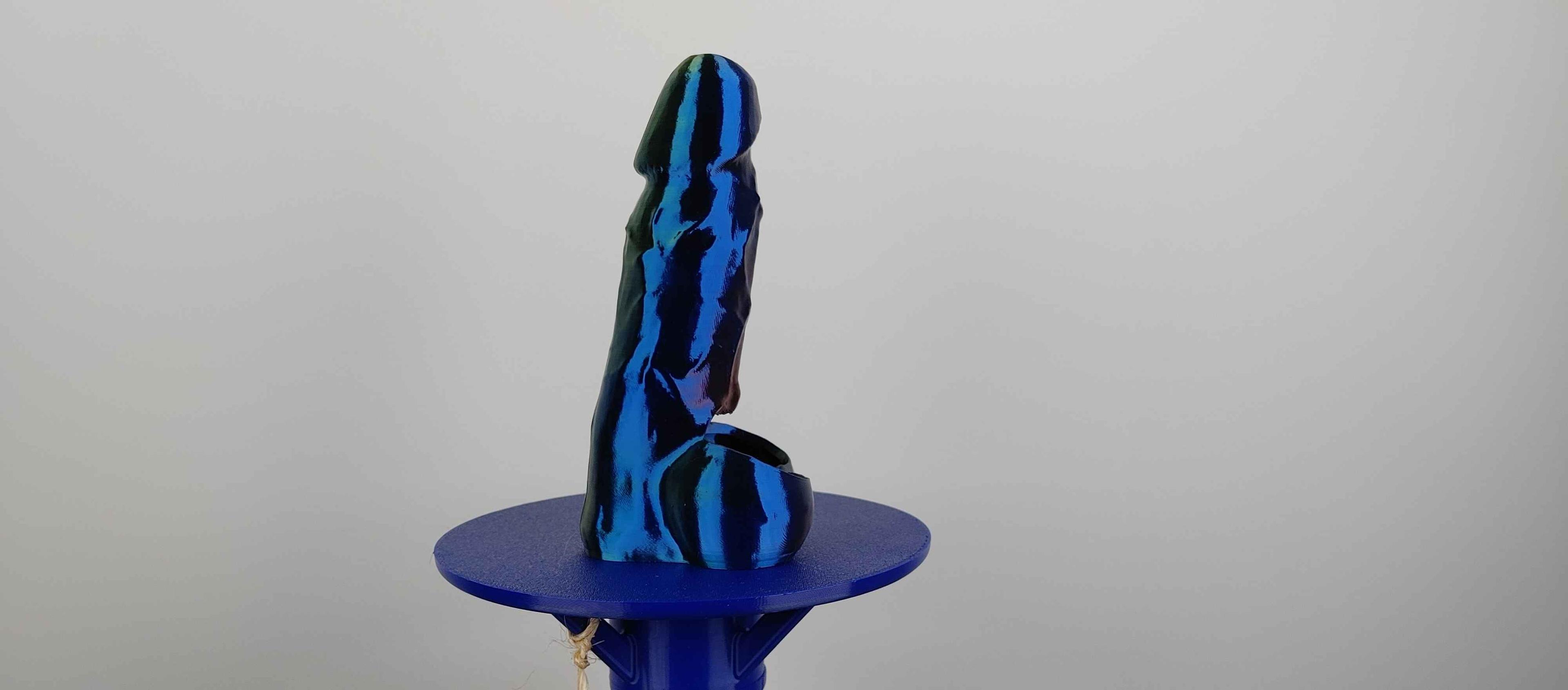 Anatomically Correct Penis and Vulva Planters With Drain Hole 3d model