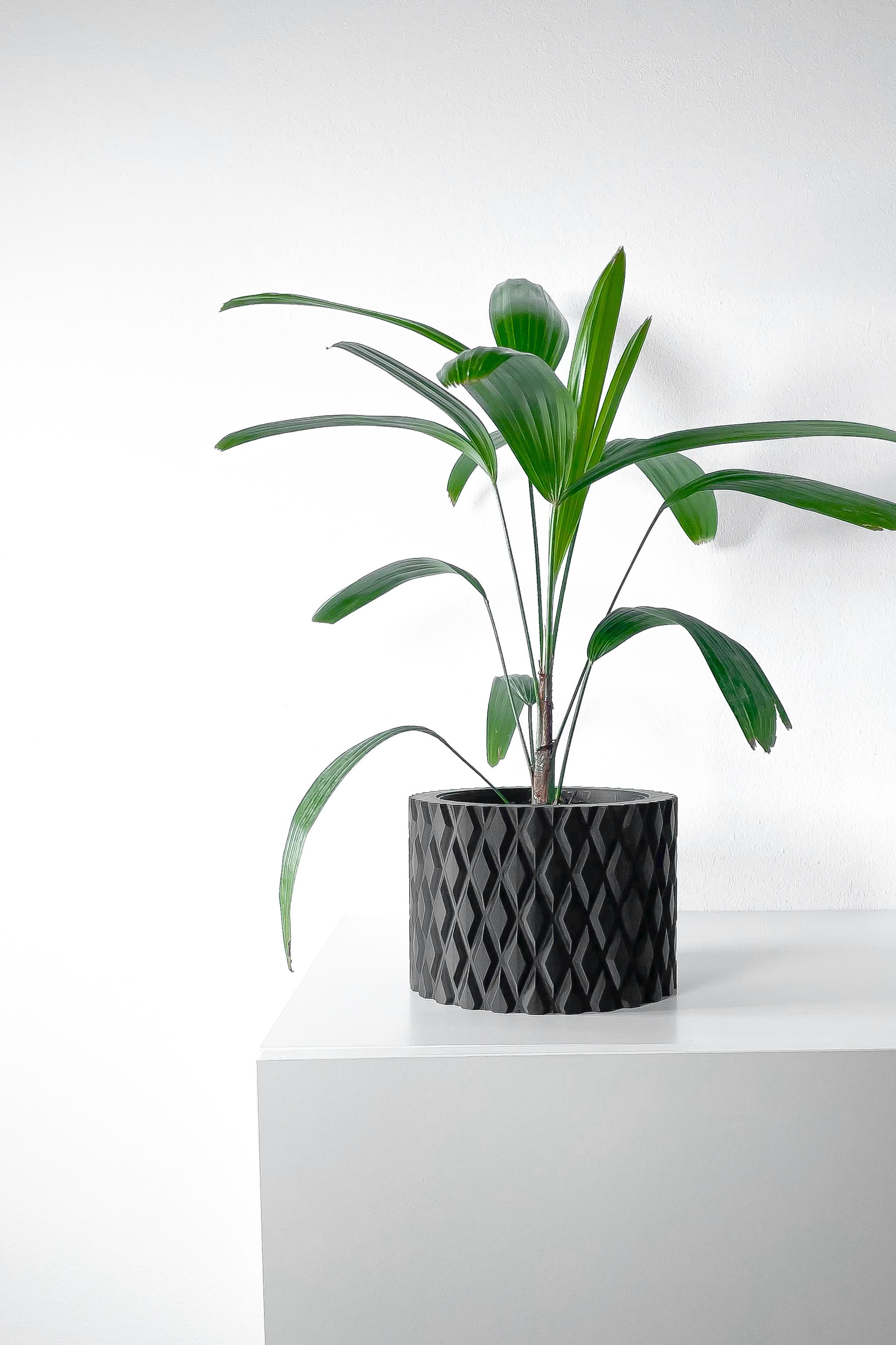 The Pexil Planter Pot with Drainage Tray & Stand Included | Modern and Unique Home Decor 3d model