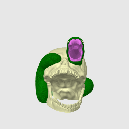 Skull With Snake Dice Tower / No Supports 3d model