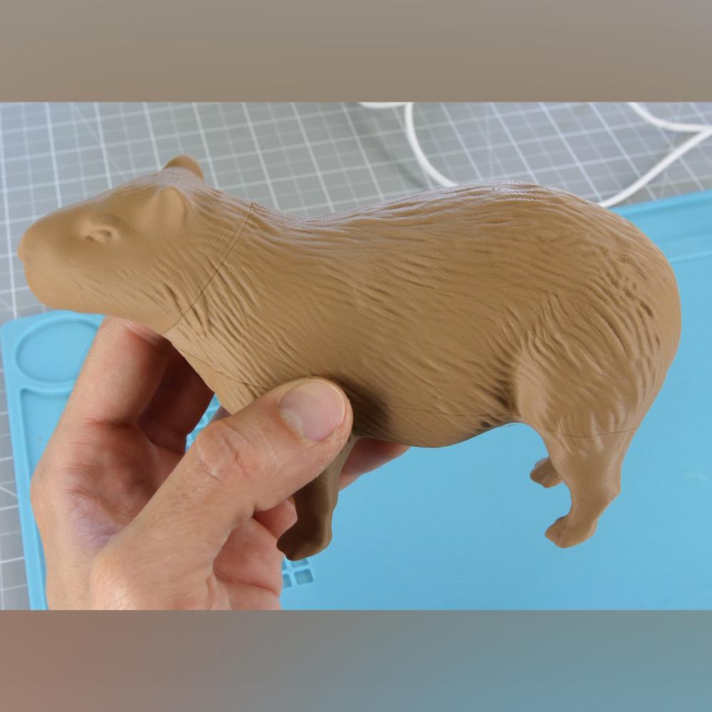 3D Capybara Models