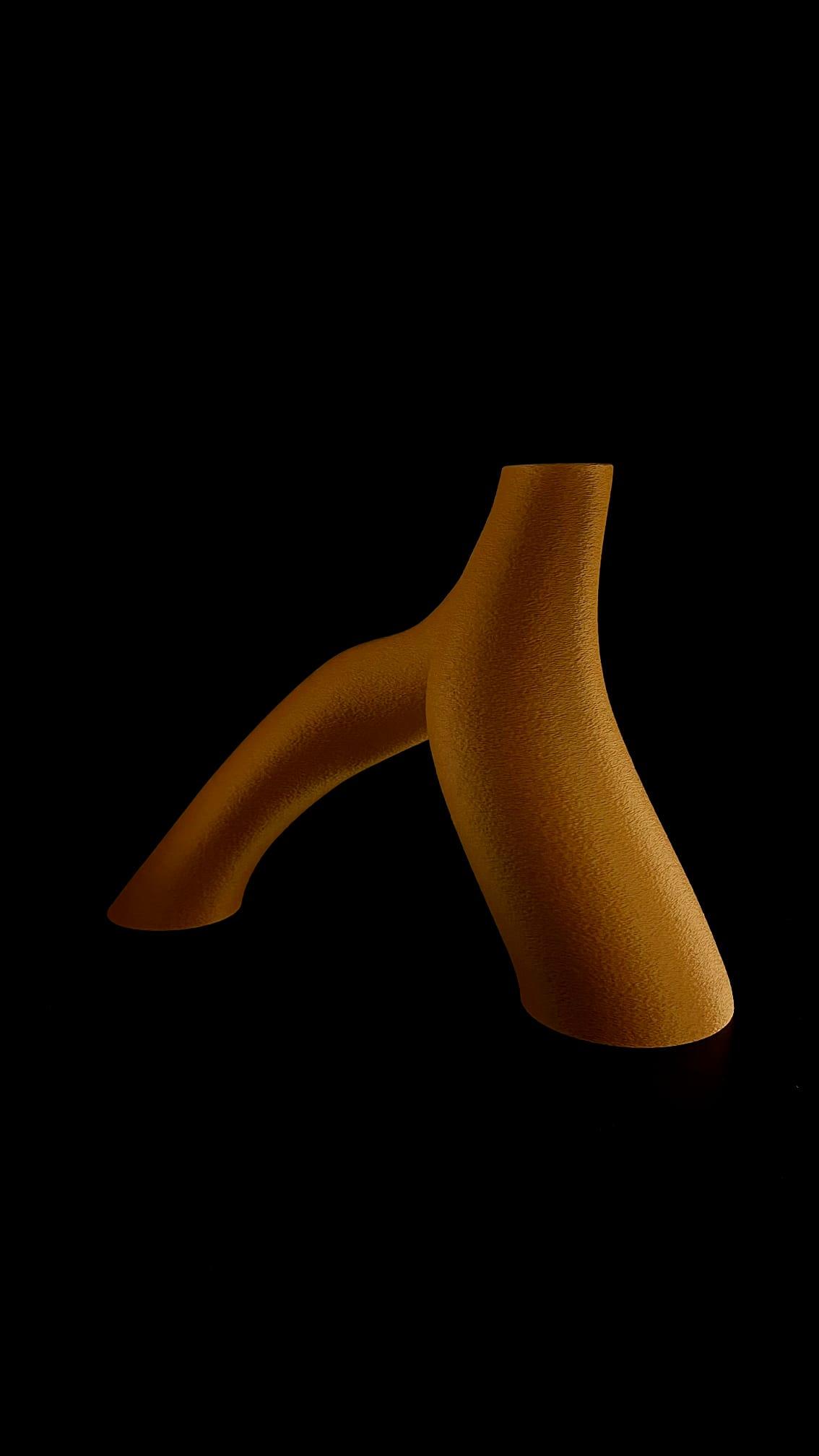 Interlocking Toroidal Vases: Smooth version  3d model
