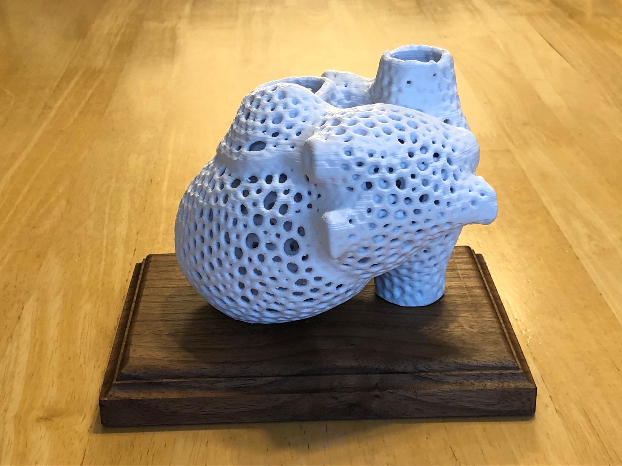 Anatomically Correct Voronoi Heart 3d model
