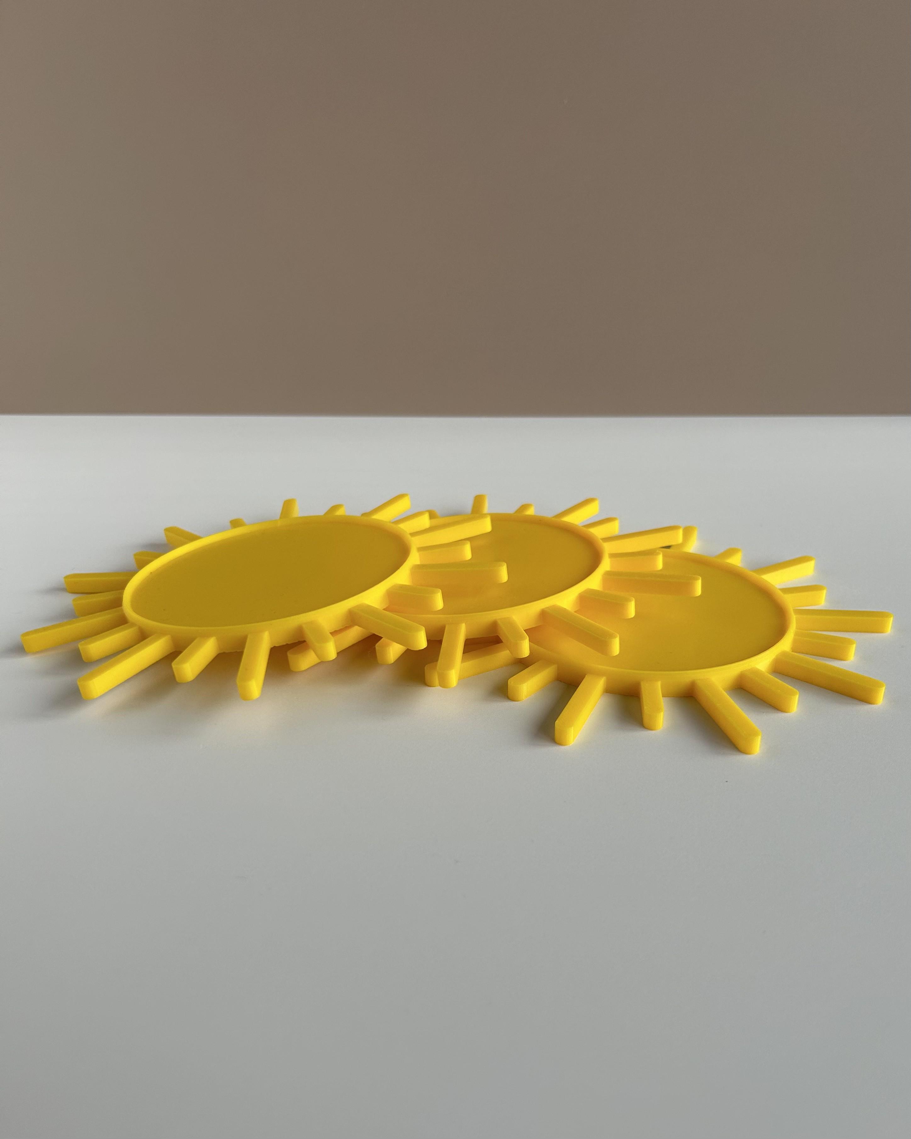 SunCoaster 3d model