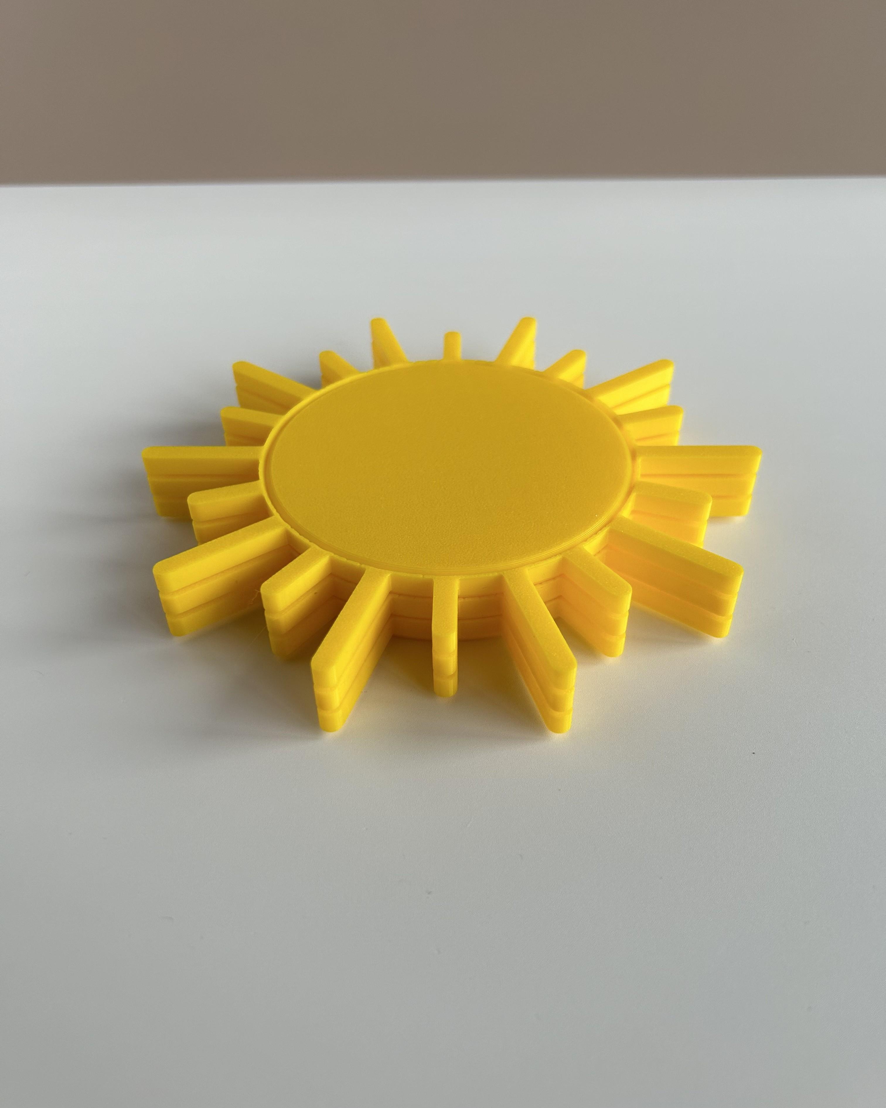 SunCoaster 3d model