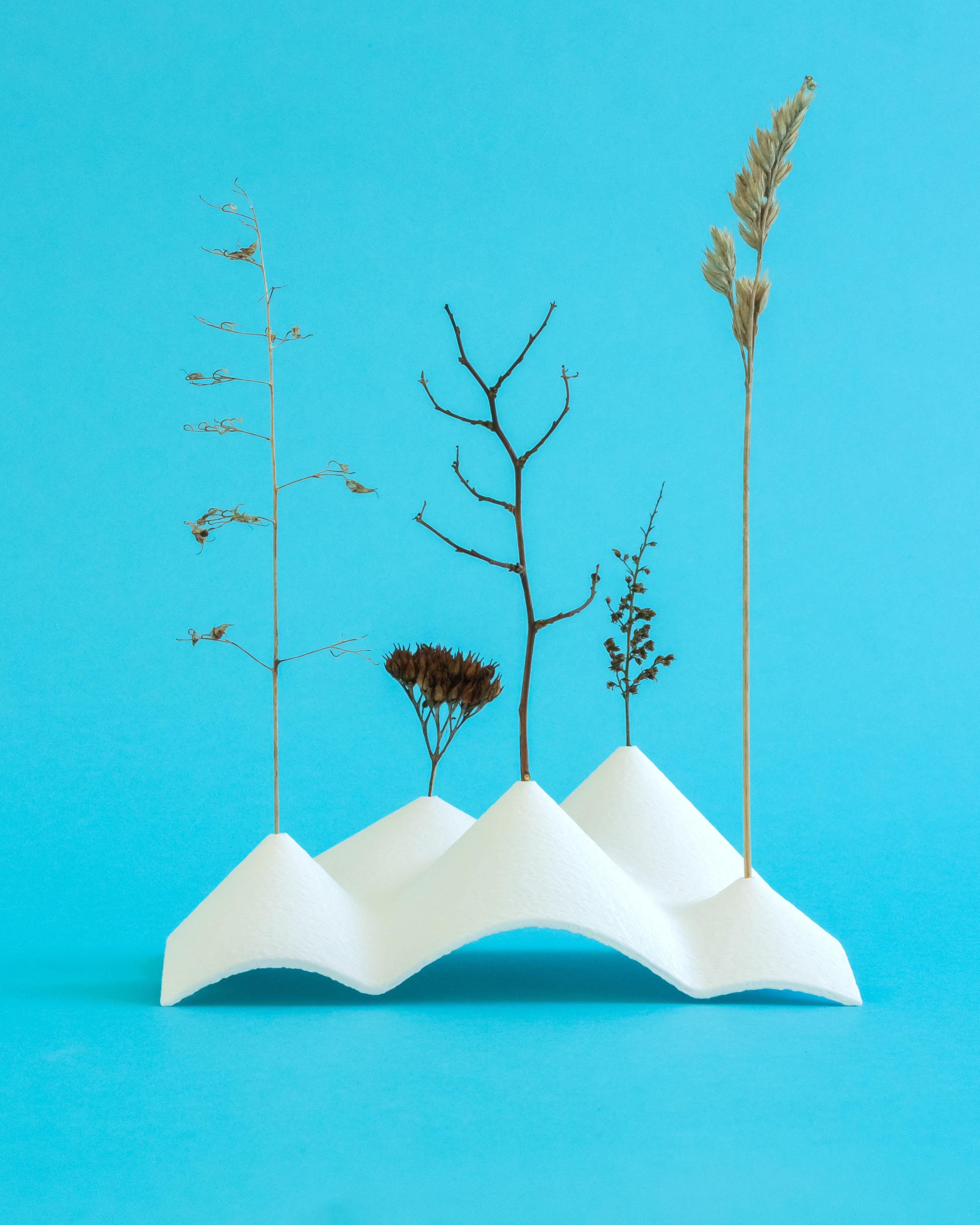 5 Peaks // Dried Plant Holders (2 sizes) 3d model