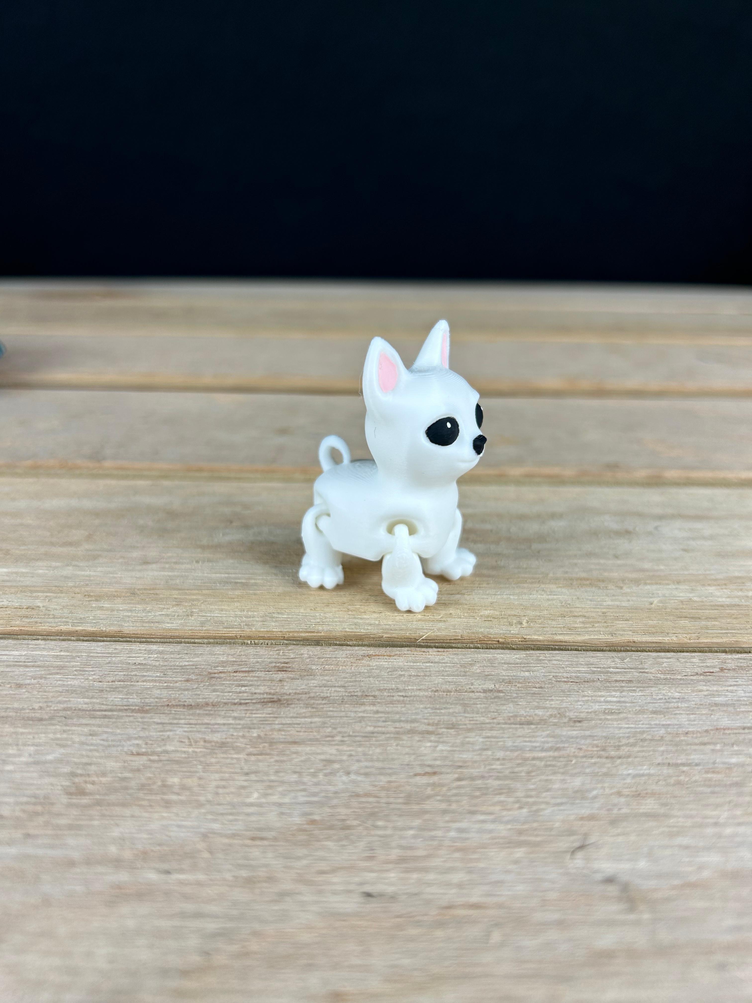 Chihuahua Fidget 3d model