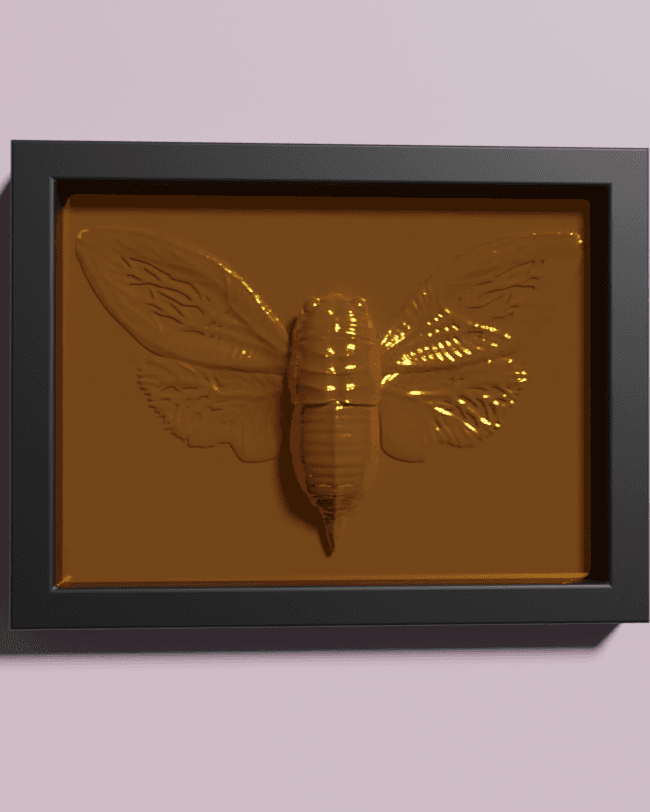 Cicada Frameable Wall ART 3d model