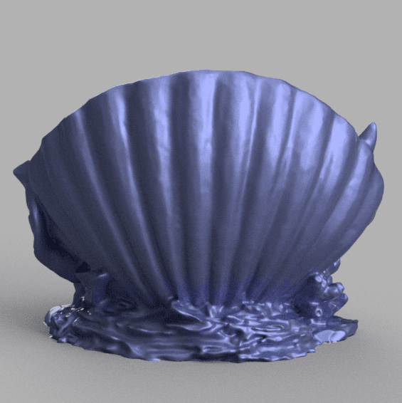 dolphin shell 1 3d model