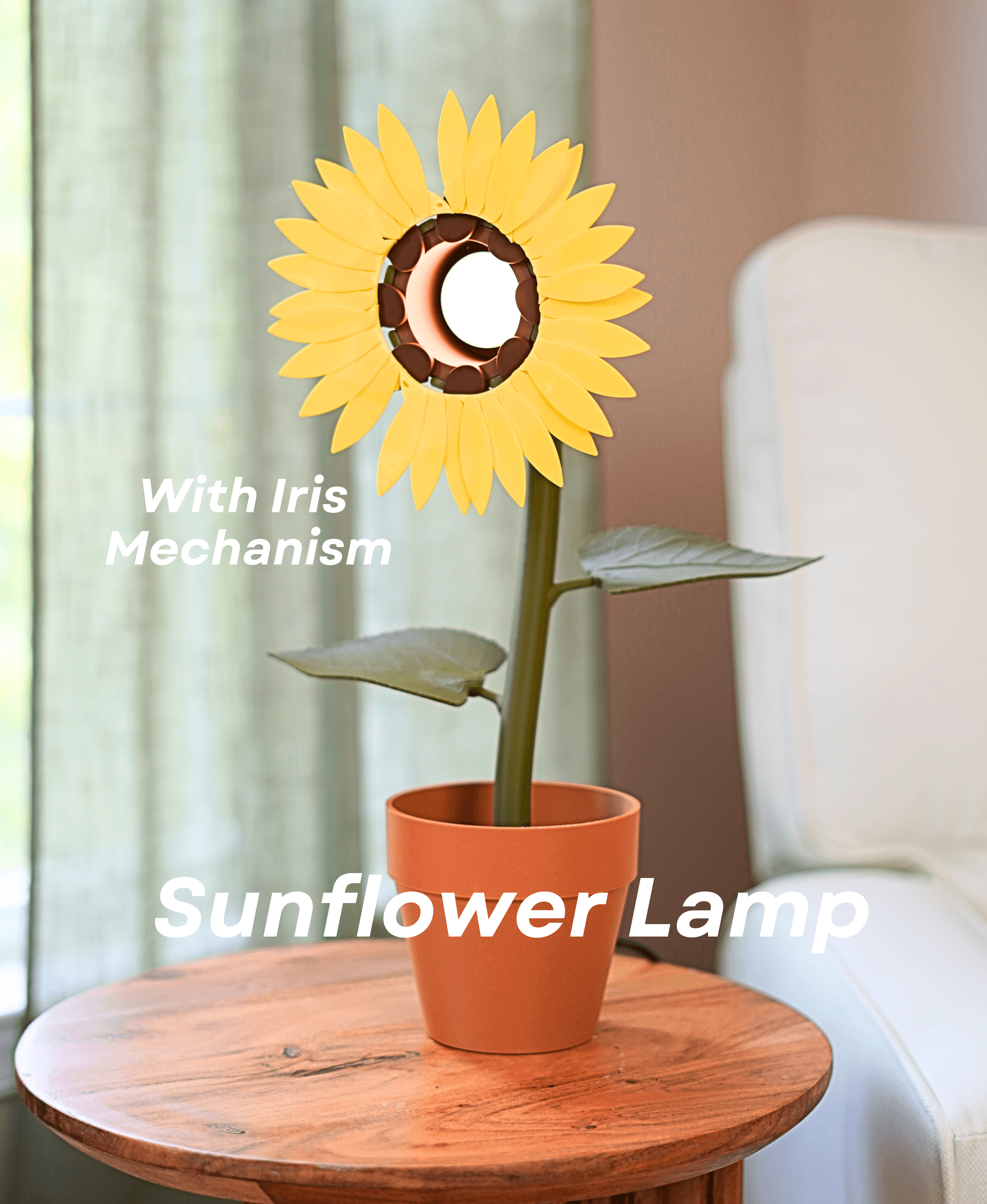 Sunflower Lamp 3d model
