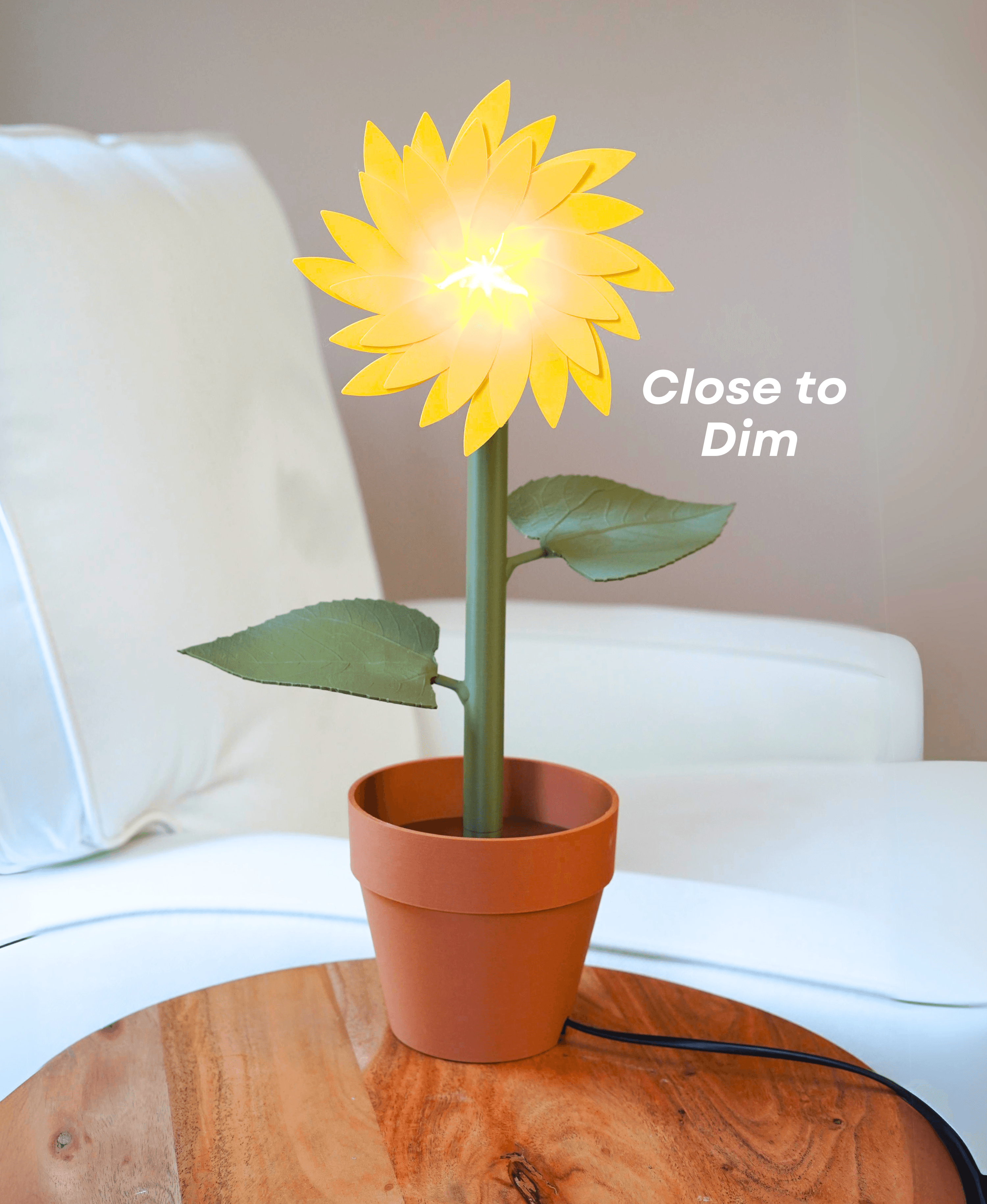 Sunflower Lamp 3d model