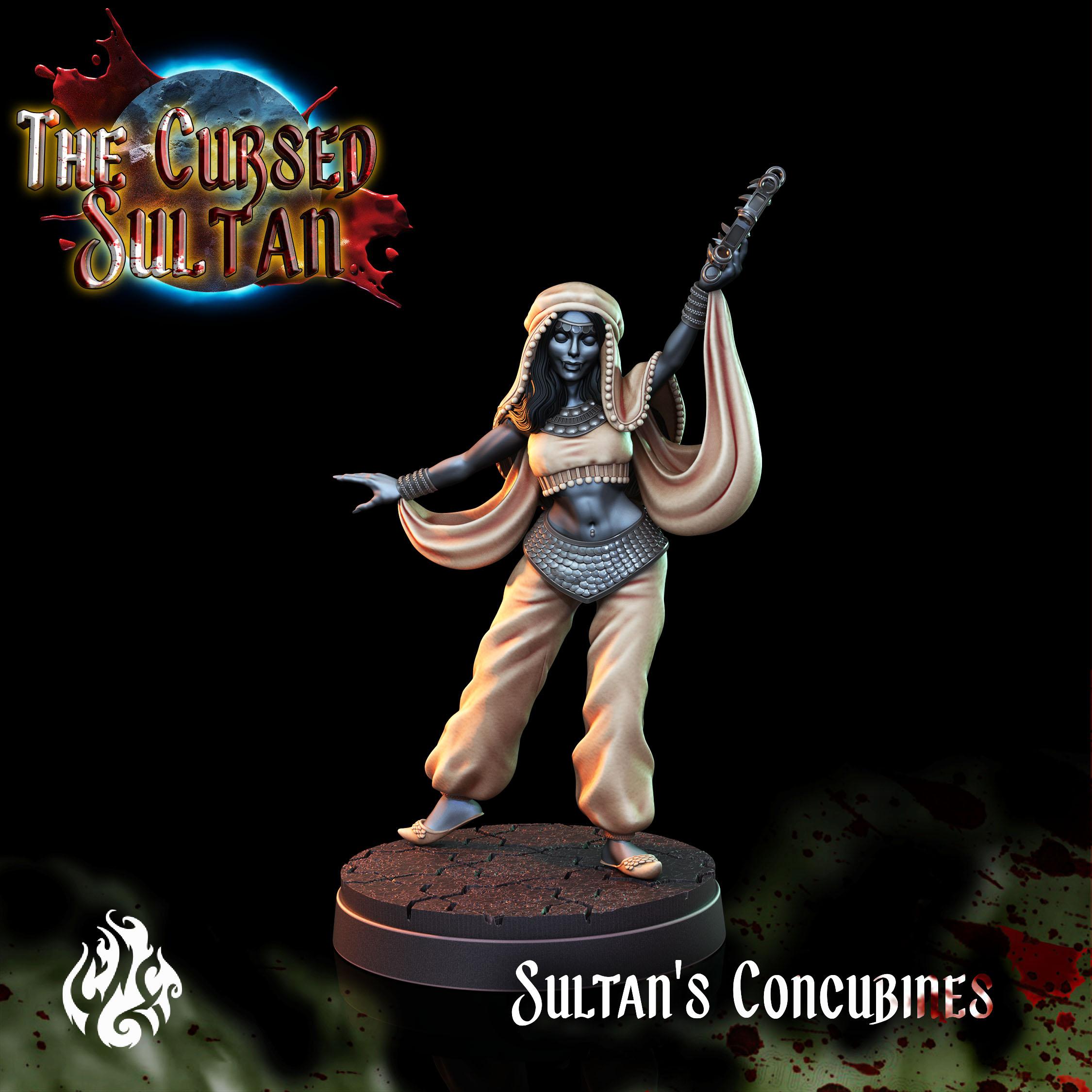 Sultan's Concubines 3d model
