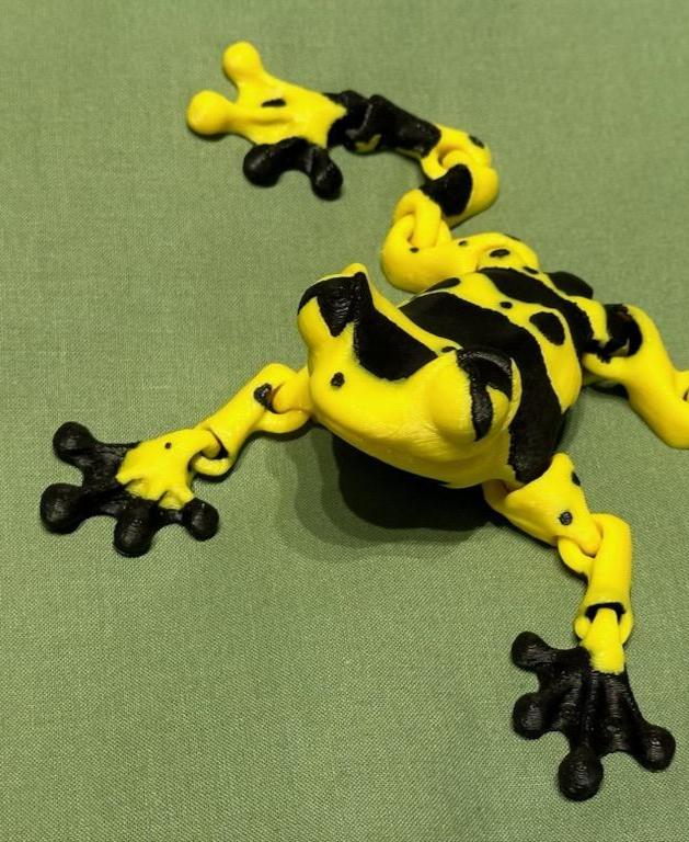 Cinder Frog - Poison Dart Cinder Frog! - 3d model