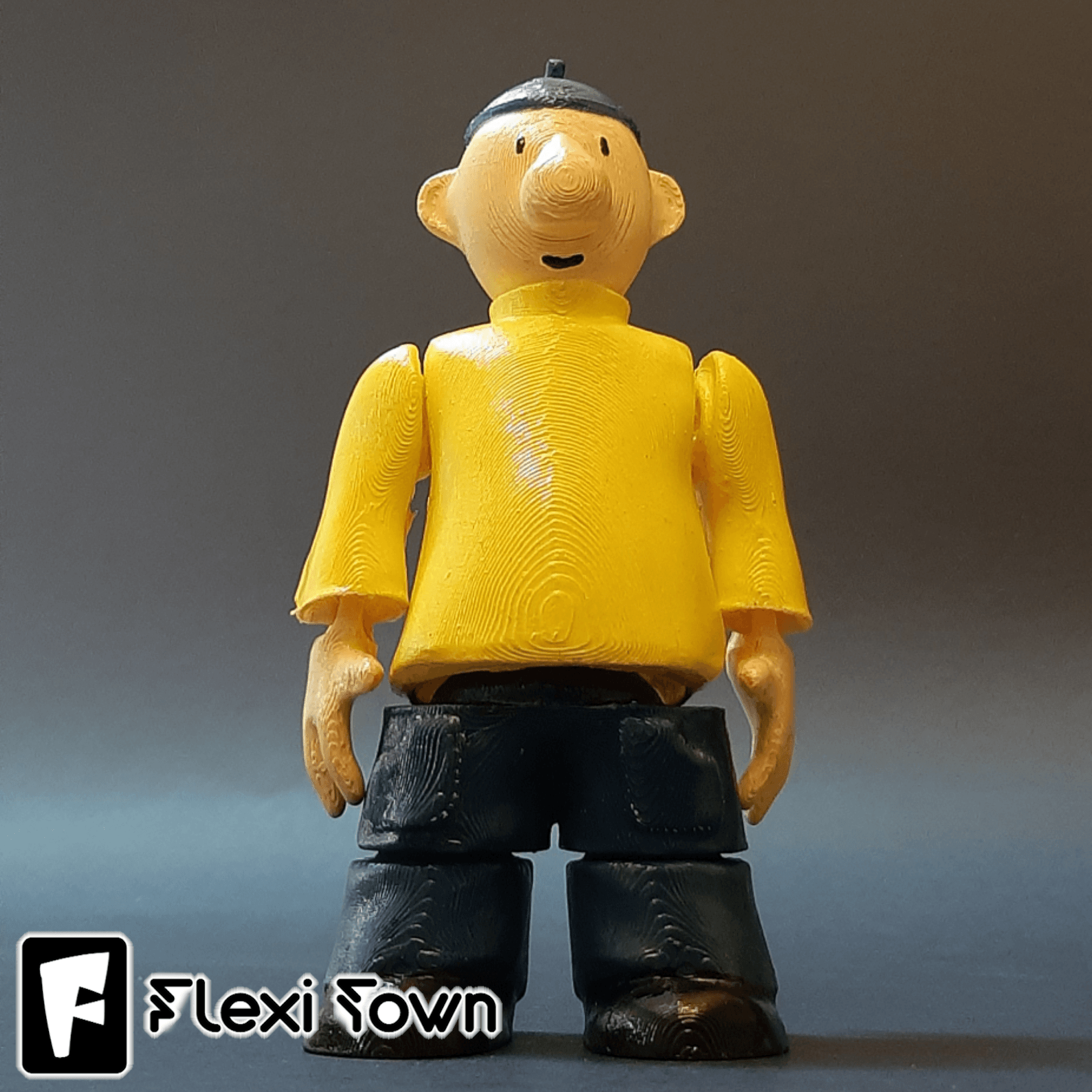 Flexi Print-in-Place Pat 3d model