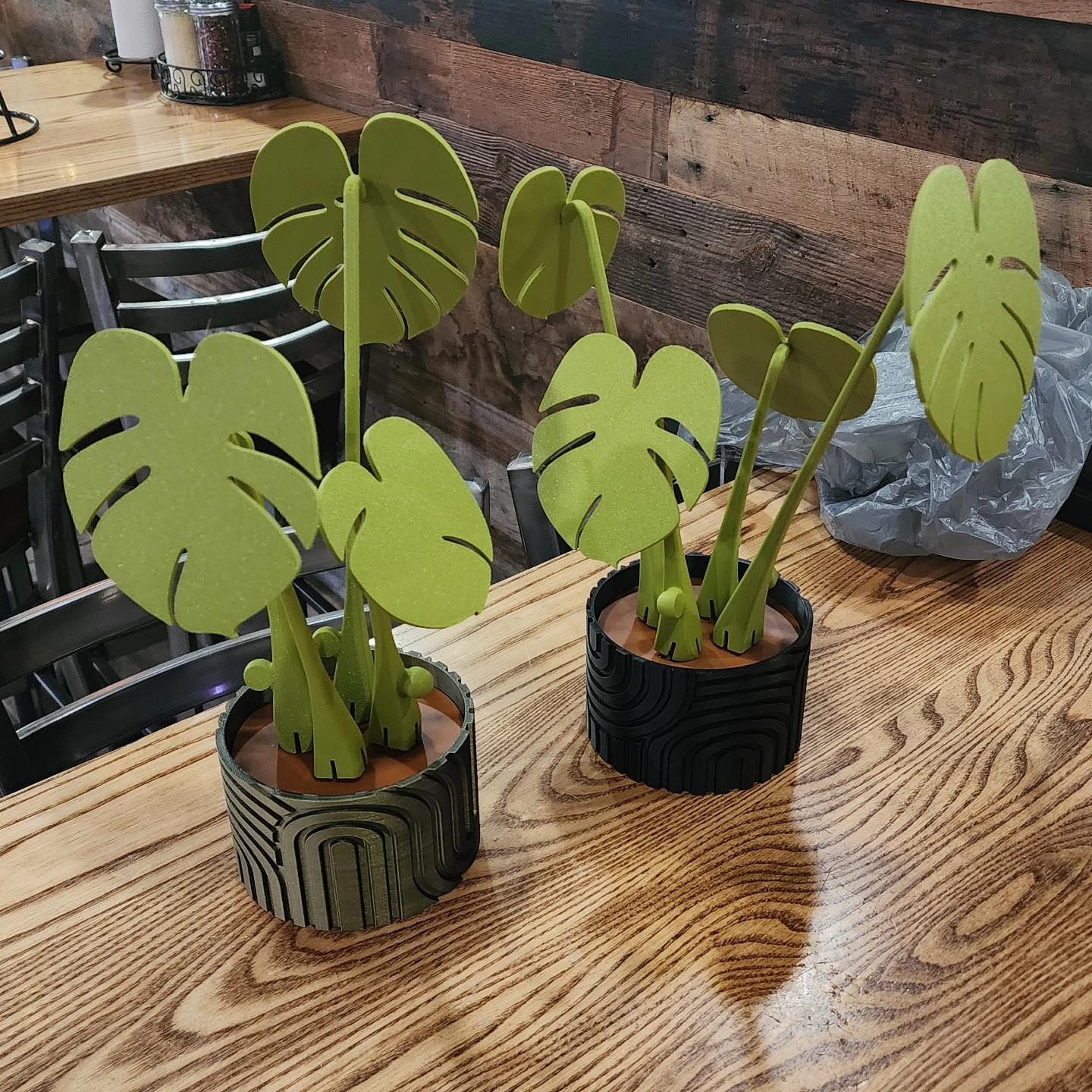 Monstera Coaster Set 3d model